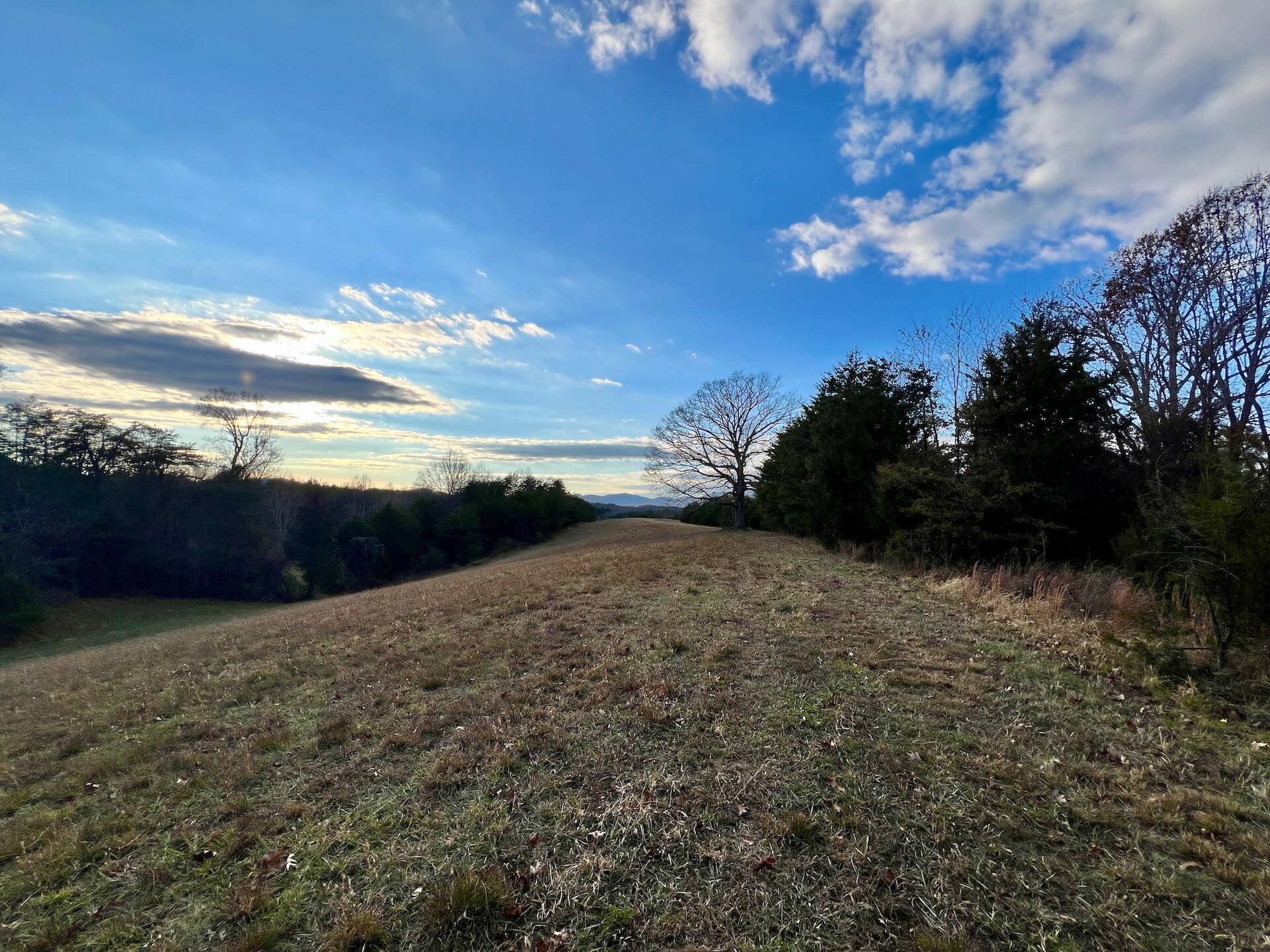 2743 Johnson School Road Thaxton, VA 24174 - Photo 38 of 88 154.56 Bedford pics - 28