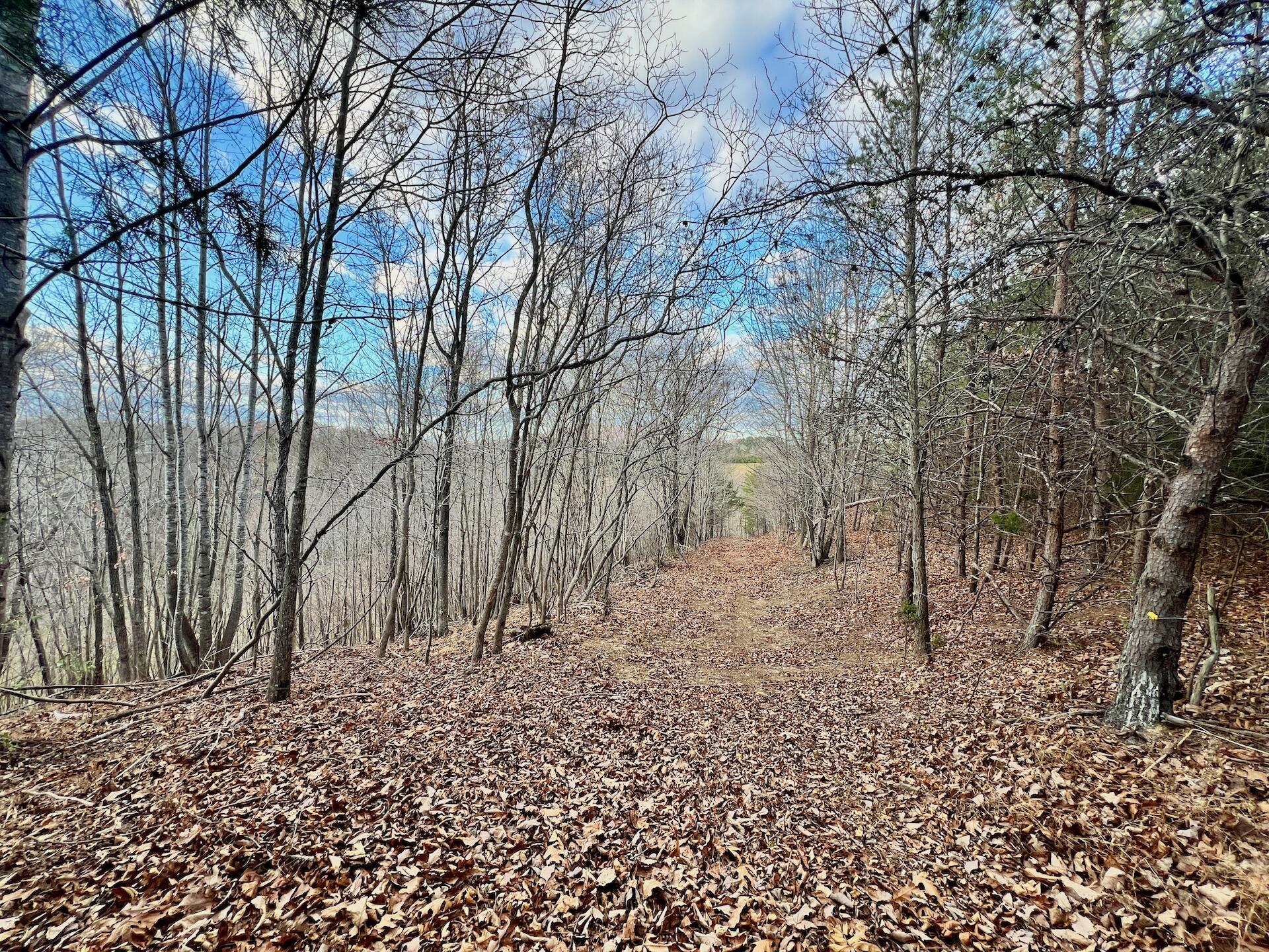 2743 Johnson School Road Thaxton, VA 24174 - Photo 39 of 88 154.56 Bedford pics - 29