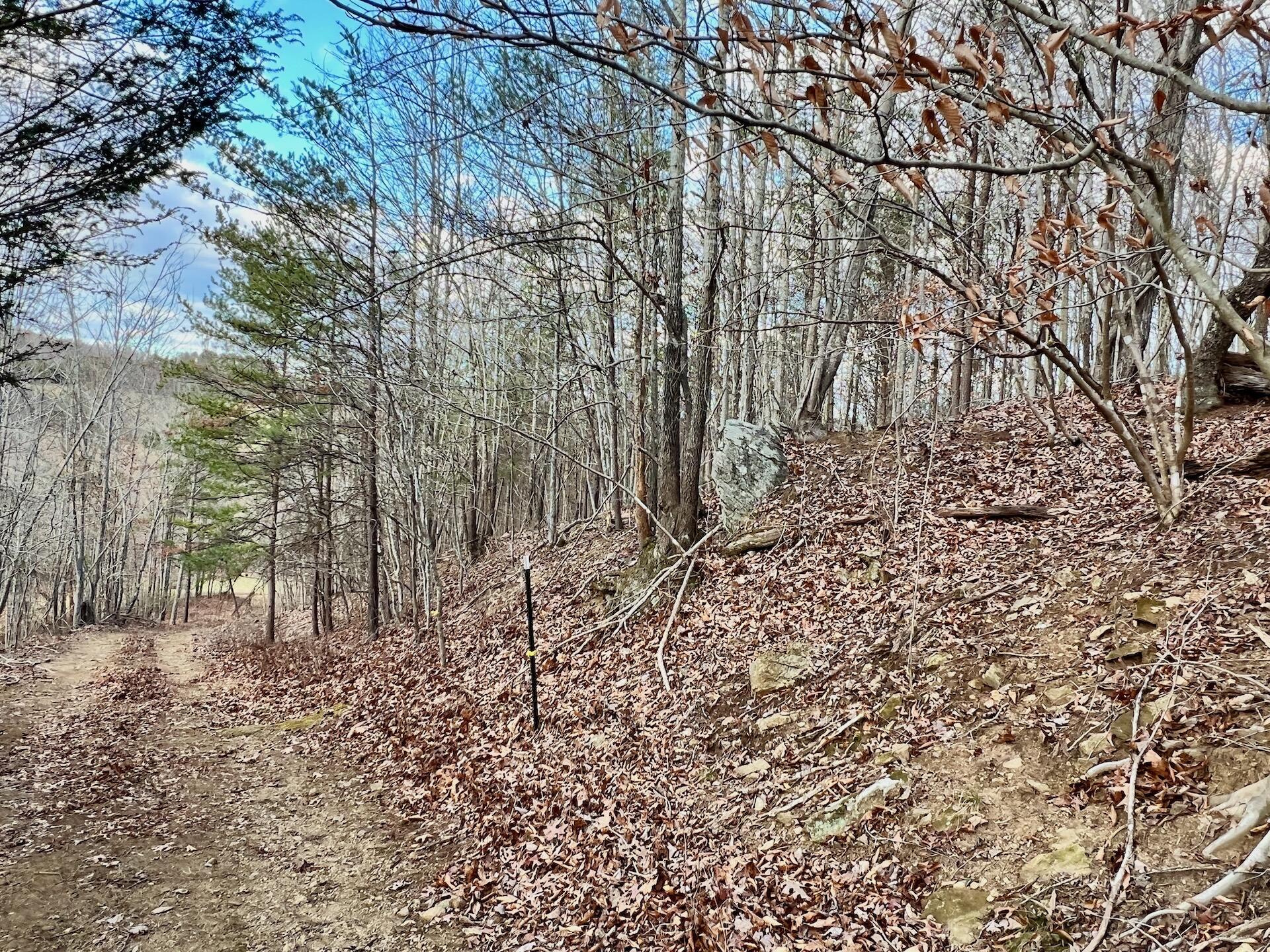 2743 Johnson School Road Thaxton, VA 24174 - Photo 40 of 88 154.56 Bedford pics - 31