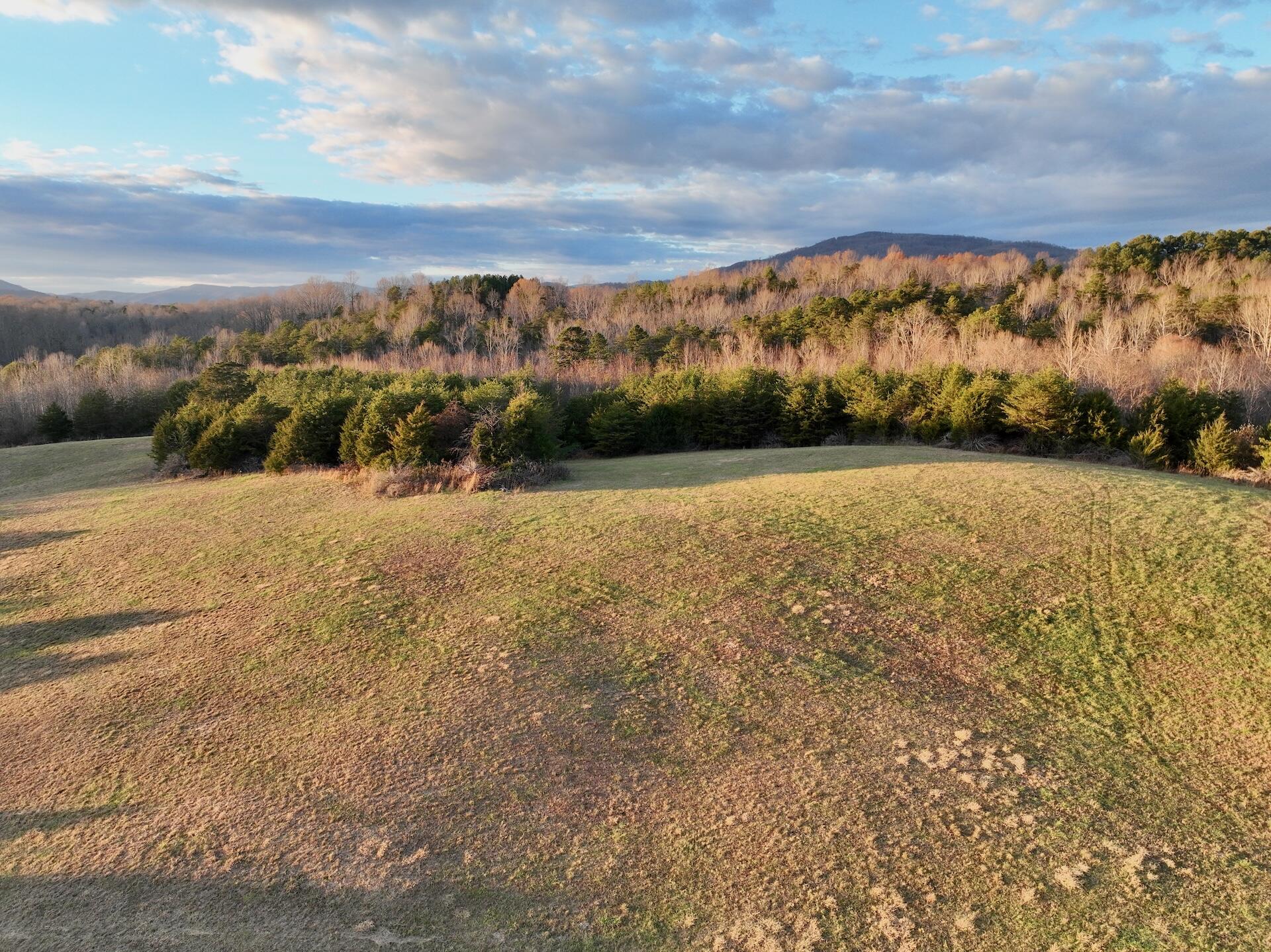 2743 Johnson School Road Thaxton, VA 24174 - Photo 4 of 88 4