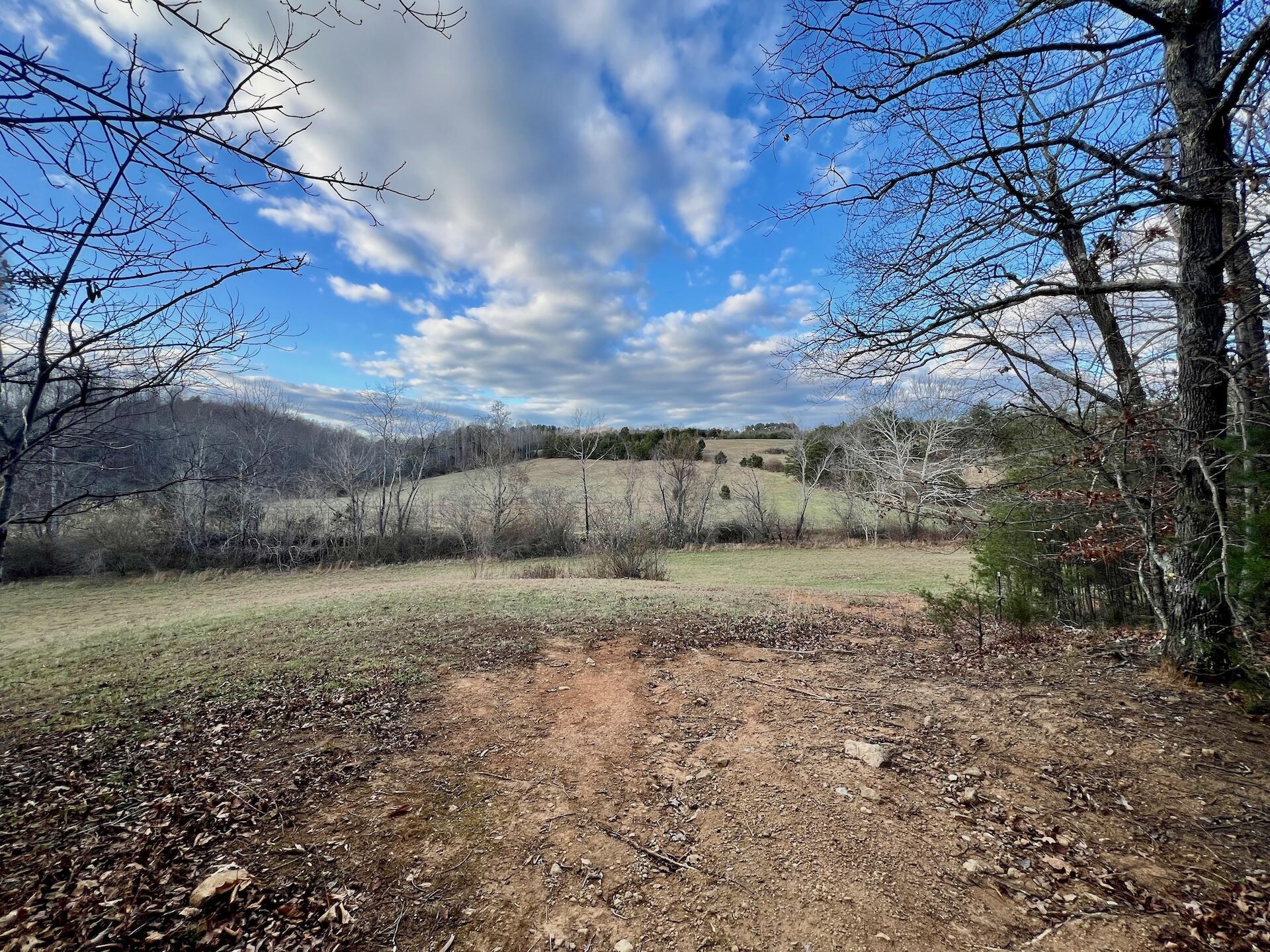 2743 Johnson School Road Thaxton, VA 24174 - Photo 41 of 88 154.56 Bedford pics - 32