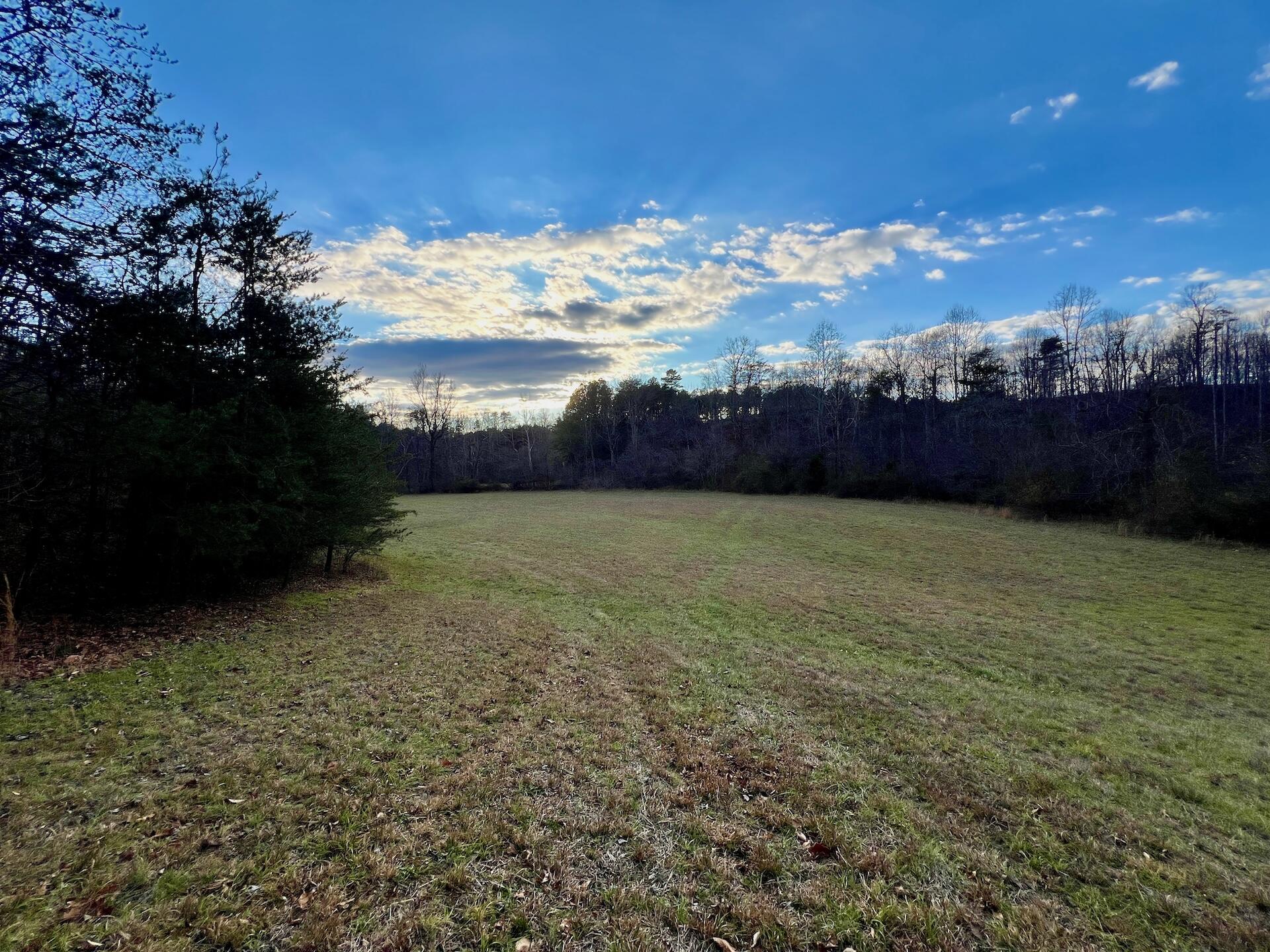 2743 Johnson School Road Thaxton, VA 24174 - Photo 42 of 88 154.56 Bedford pics - 33