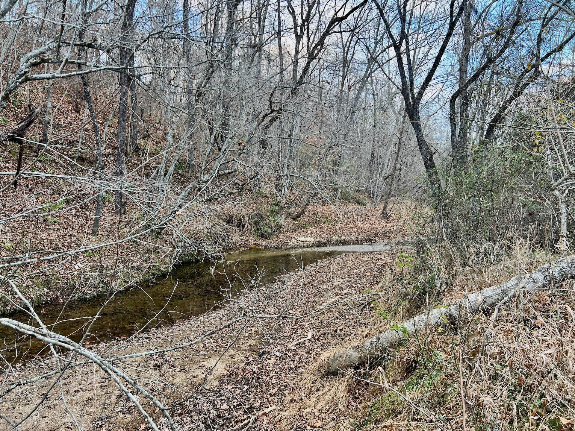 2743 Johnson School Road Thaxton, VA 24174 - Photo 43 of 88 154.56 Bedford pics - 35