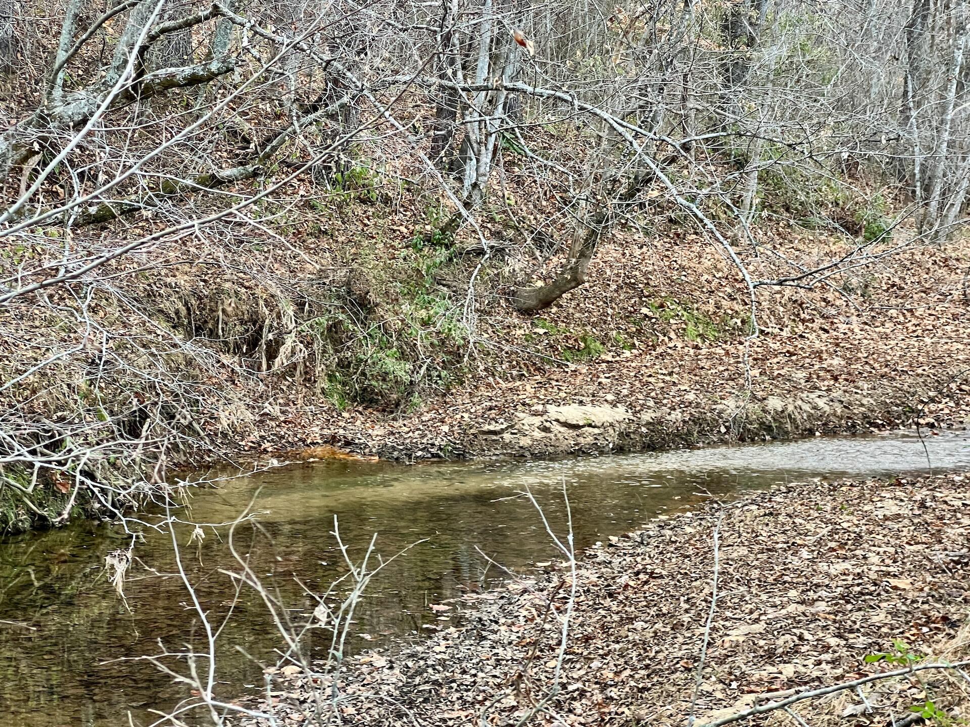 2743 Johnson School Road Thaxton, VA 24174 - Photo 44 of 88 154.56 Bedford pics - 36