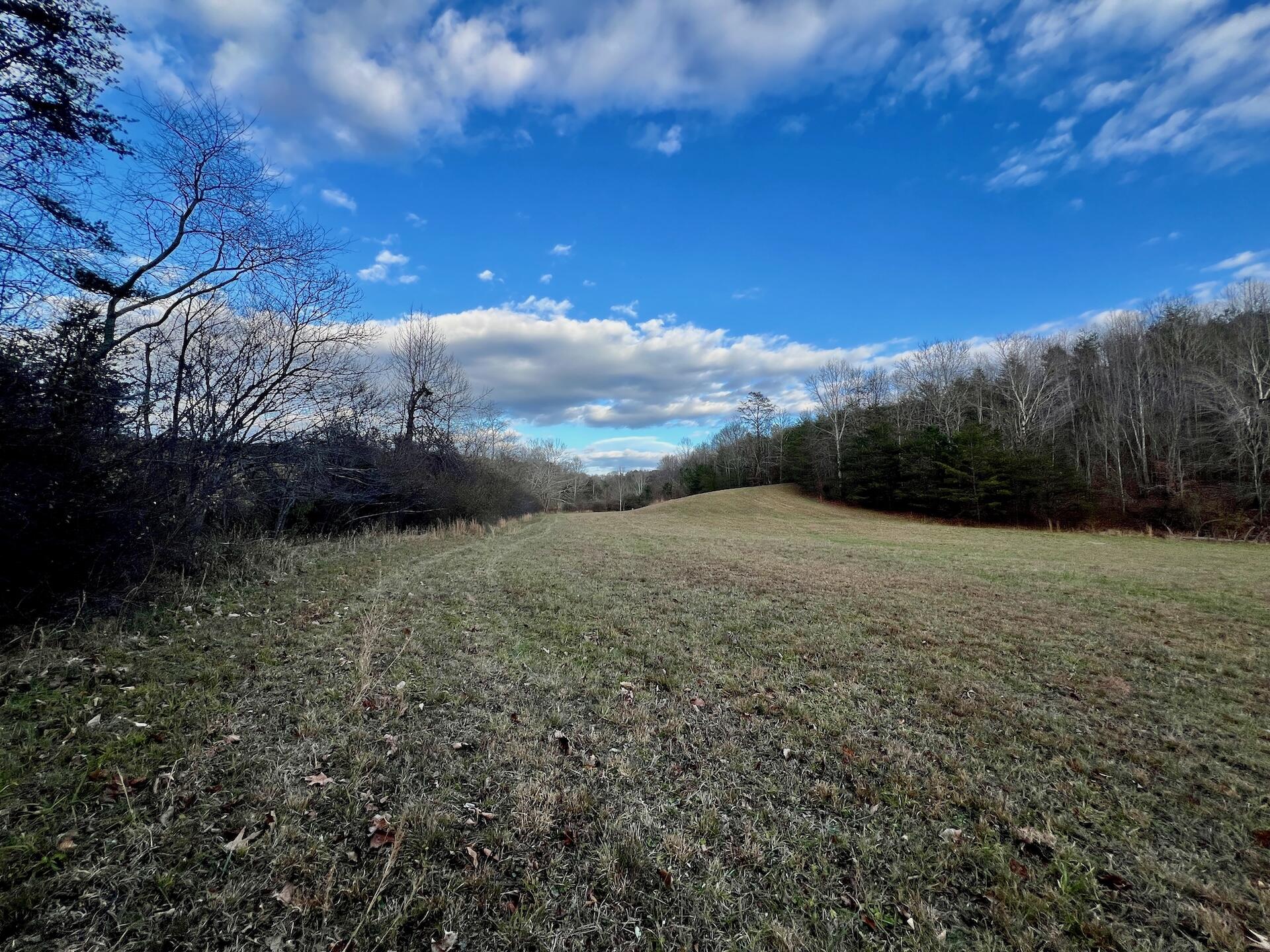 2743 Johnson School Road Thaxton, VA 24174 - Photo 45 of 88 154.56 Bedford pics - 37