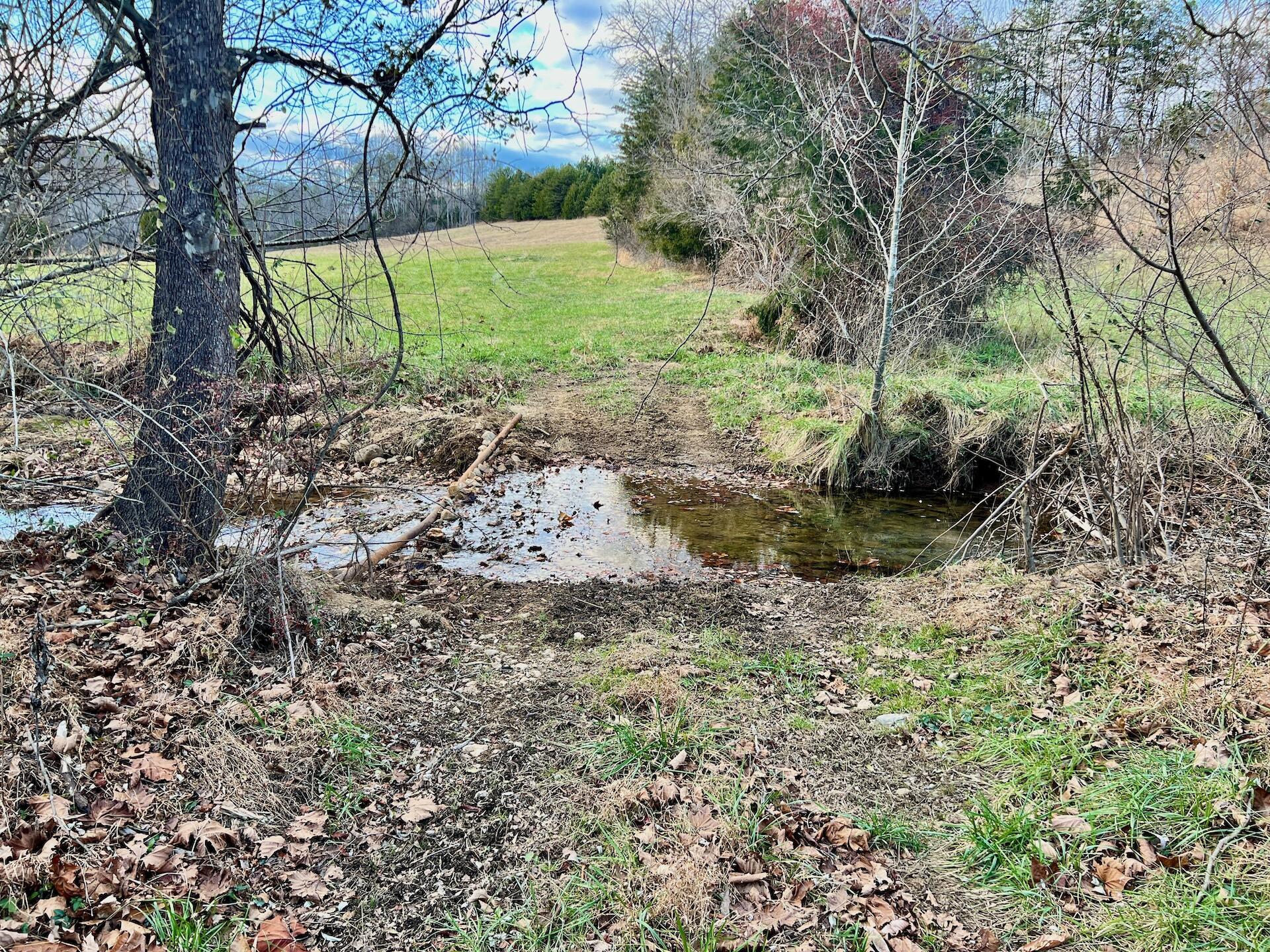 2743 Johnson School Road Thaxton, VA 24174 - Photo 46 of 88 154.56 Bedford pics - 38