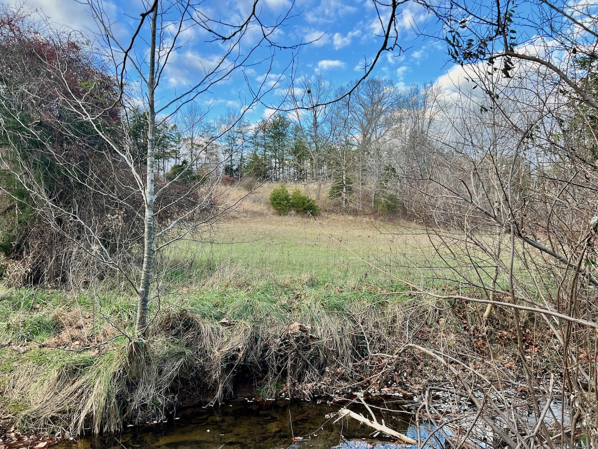 2743 Johnson School Road Thaxton, VA 24174 - Photo 47 of 88 154.56 Bedford pics - 39