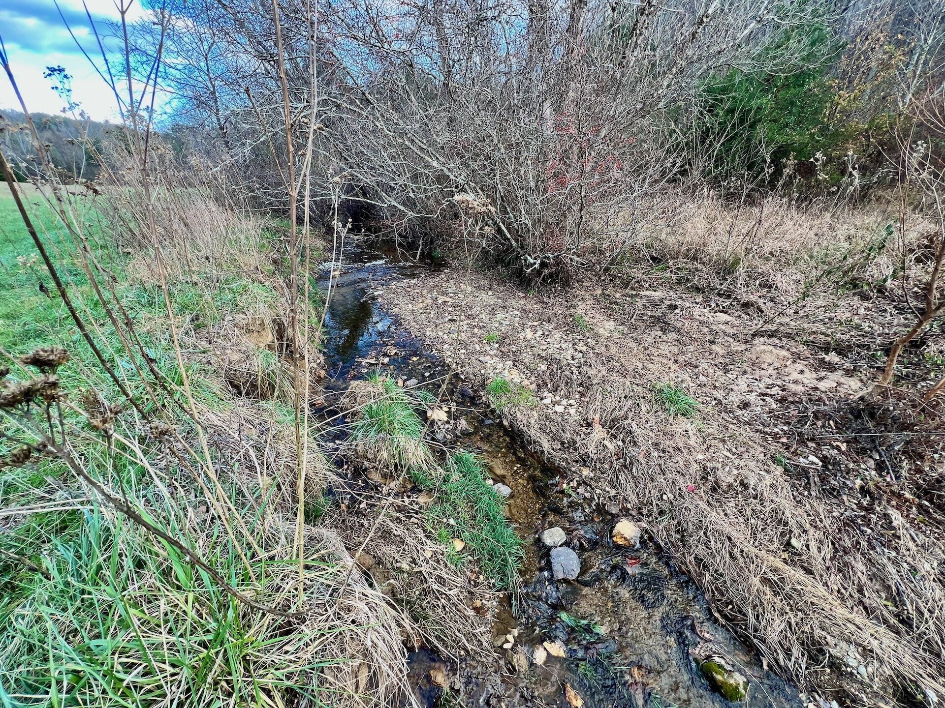 2743 Johnson School Road Thaxton, VA 24174 - Photo 49 of 88 154.56 Bedford pics - 42