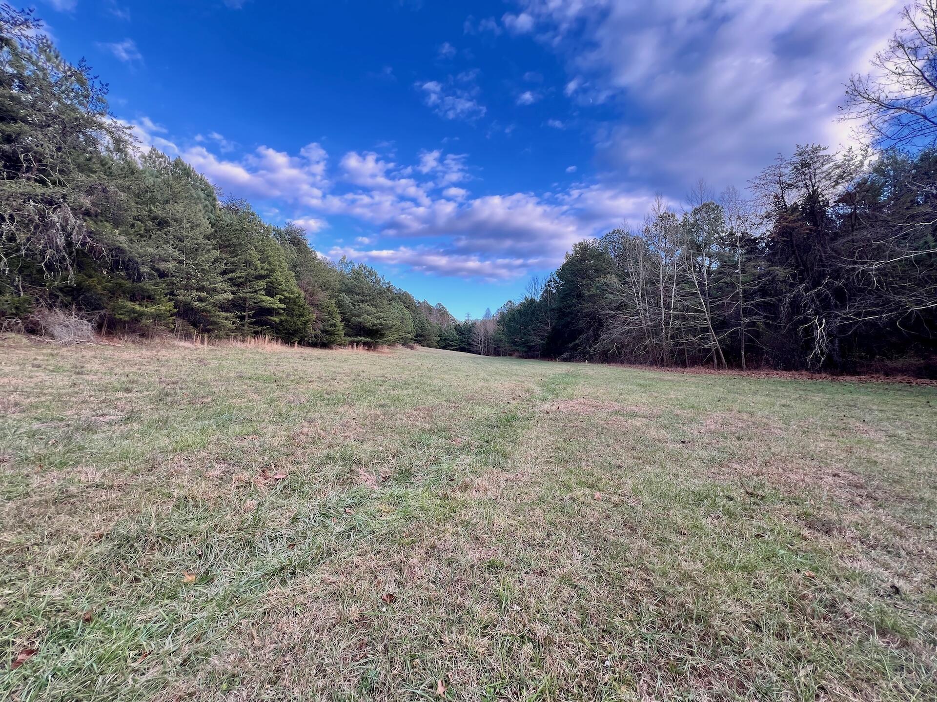 2743 Johnson School Road Thaxton, VA 24174 - Photo 50 of 88 154.56 Bedford pics - 44