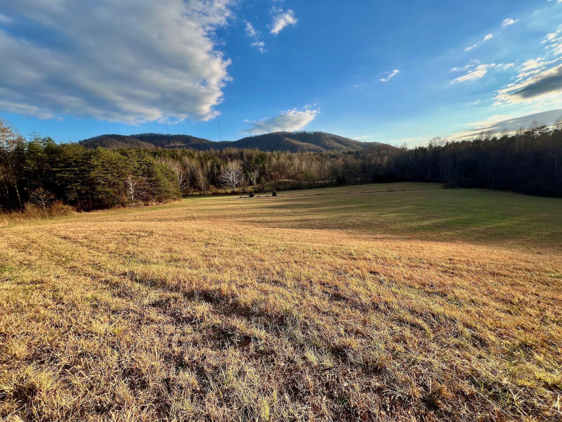 2743 Johnson School Road Thaxton, VA 24174 - Photo 5 of 88 5