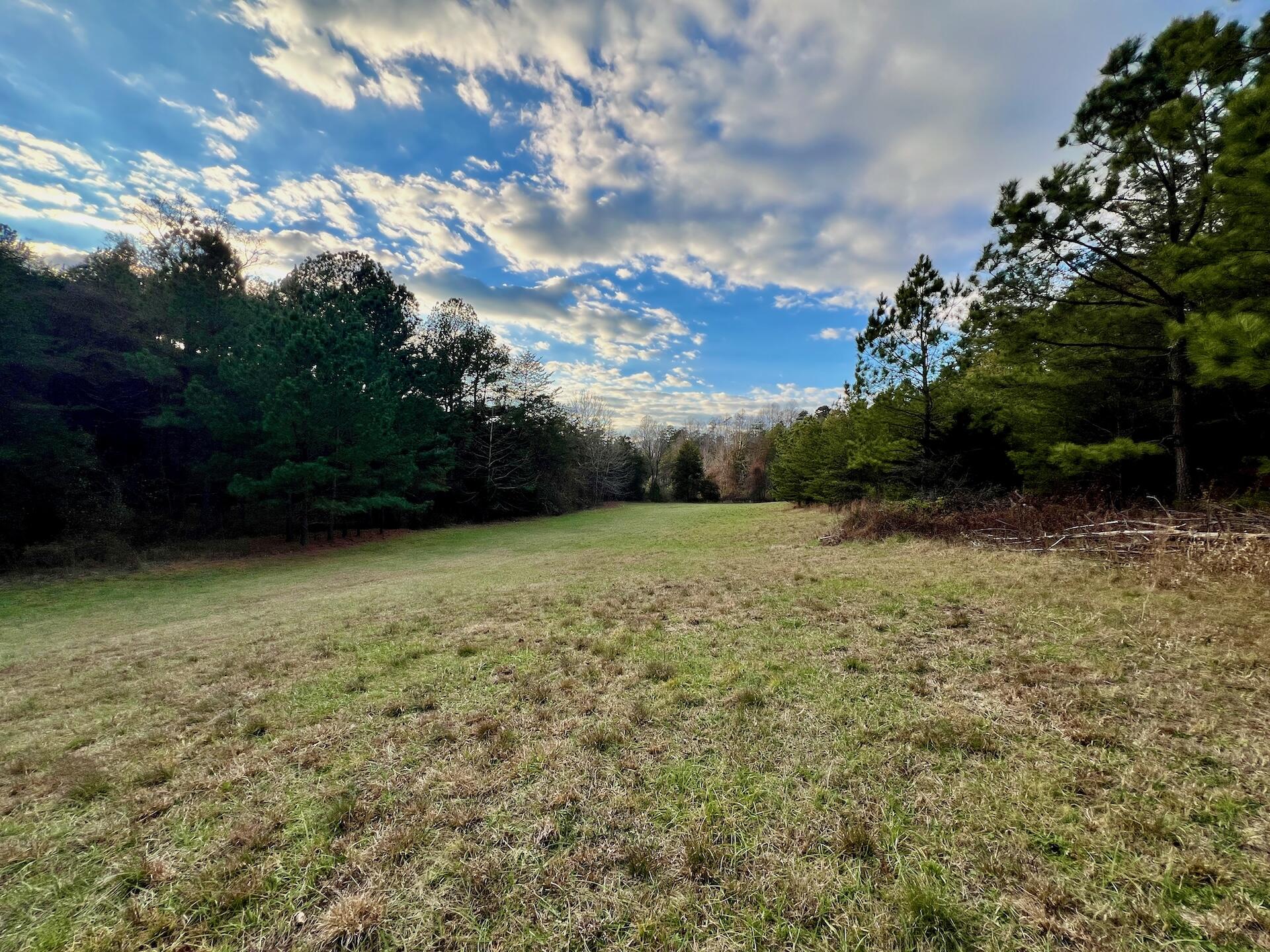 2743 Johnson School Road Thaxton, VA 24174 - Photo 51 of 88 154.56 Bedford pics - 45