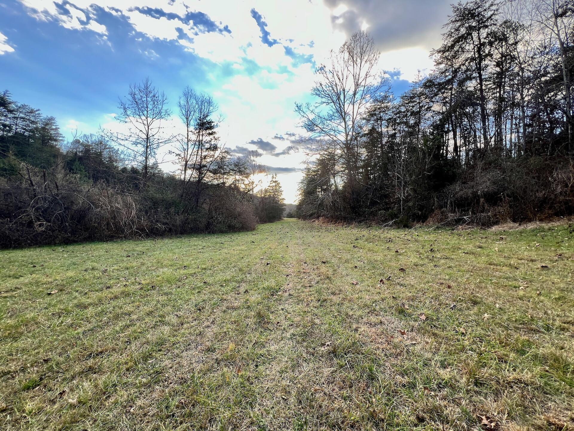 2743 Johnson School Road Thaxton, VA 24174 - Photo 52 of 88 154.56 Bedford pics - 47