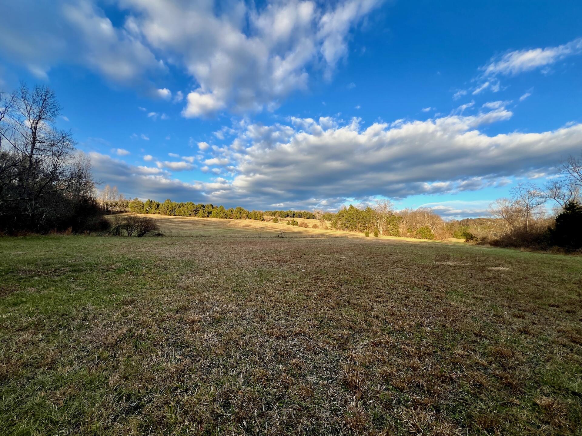 2743 Johnson School Road Thaxton, VA 24174 - Photo 53 of 88 154.56 Bedford pics - 49