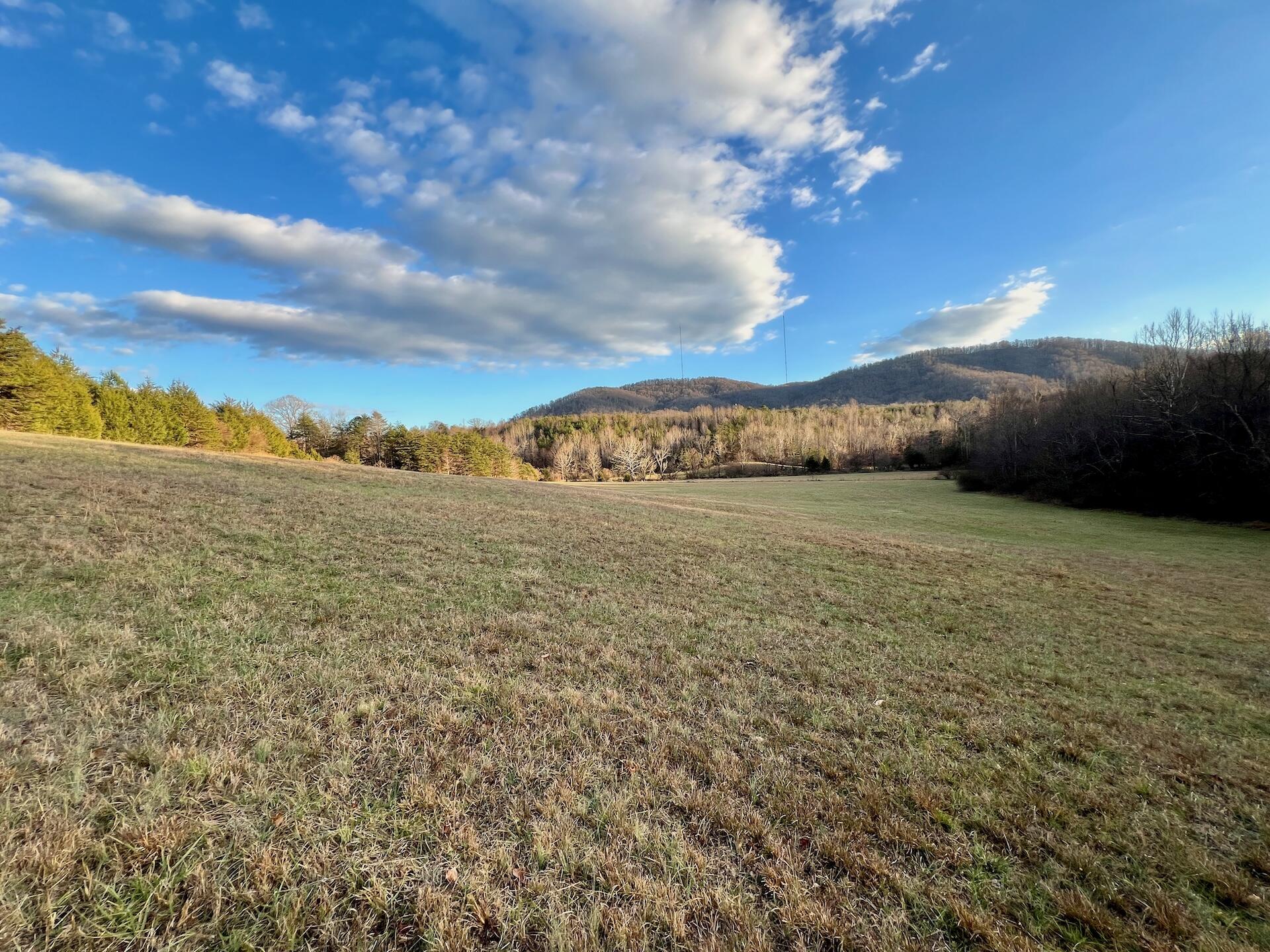 2743 Johnson School Road Thaxton, VA 24174 - Photo 54 of 88 154.56 Bedford pics - 51