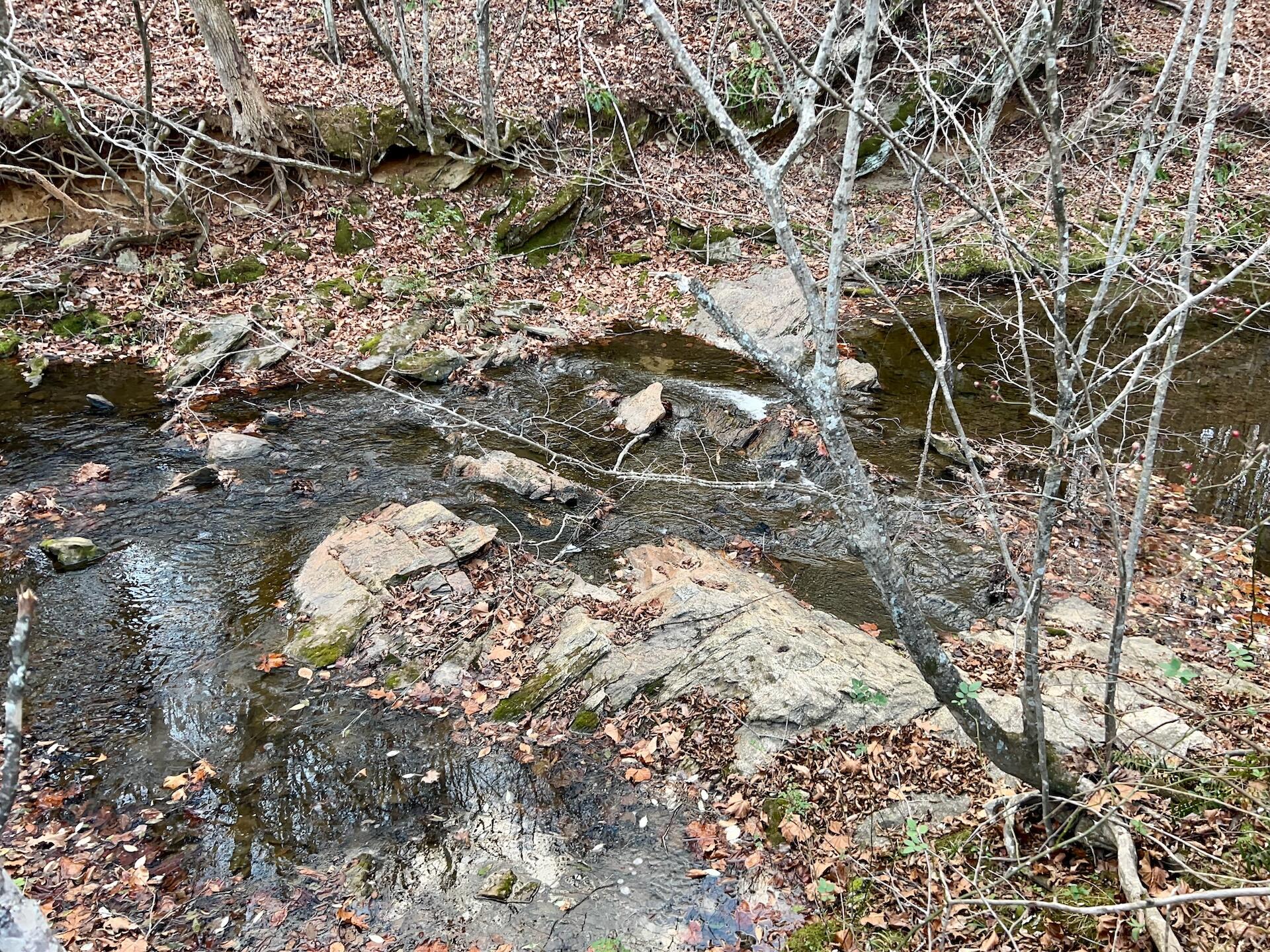 2743 Johnson School Road Thaxton, VA 24174 - Photo 55 of 88 154.56 Bedford pics - 52