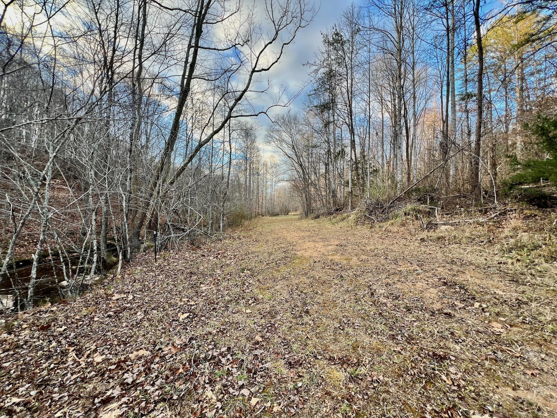 2743 Johnson School Road Thaxton, VA 24174 - Photo 56 of 88 154.56 Bedford pics - 54