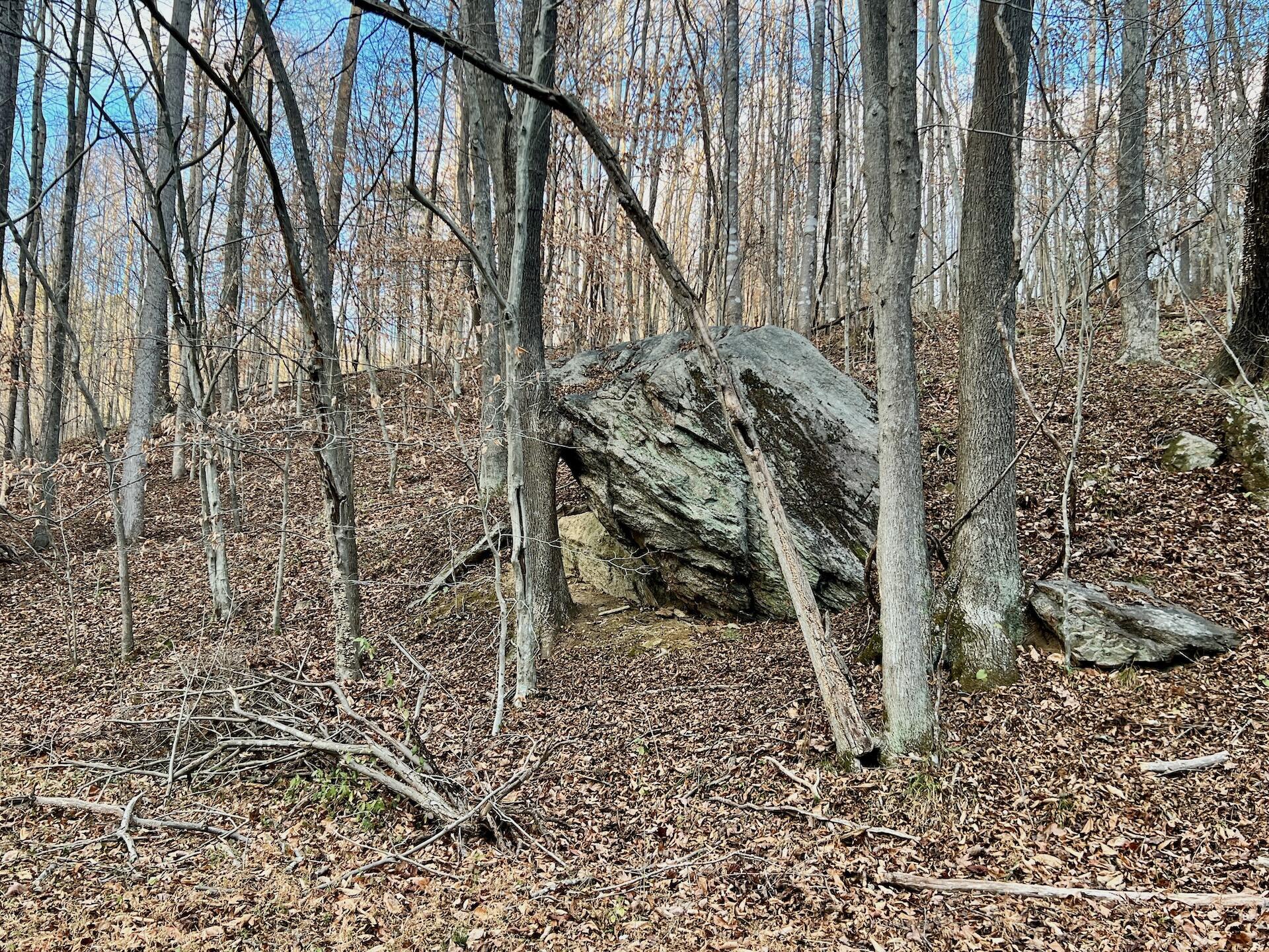 2743 Johnson School Road Thaxton, VA 24174 - Photo 57 of 88 154.56 Bedford pics - 55