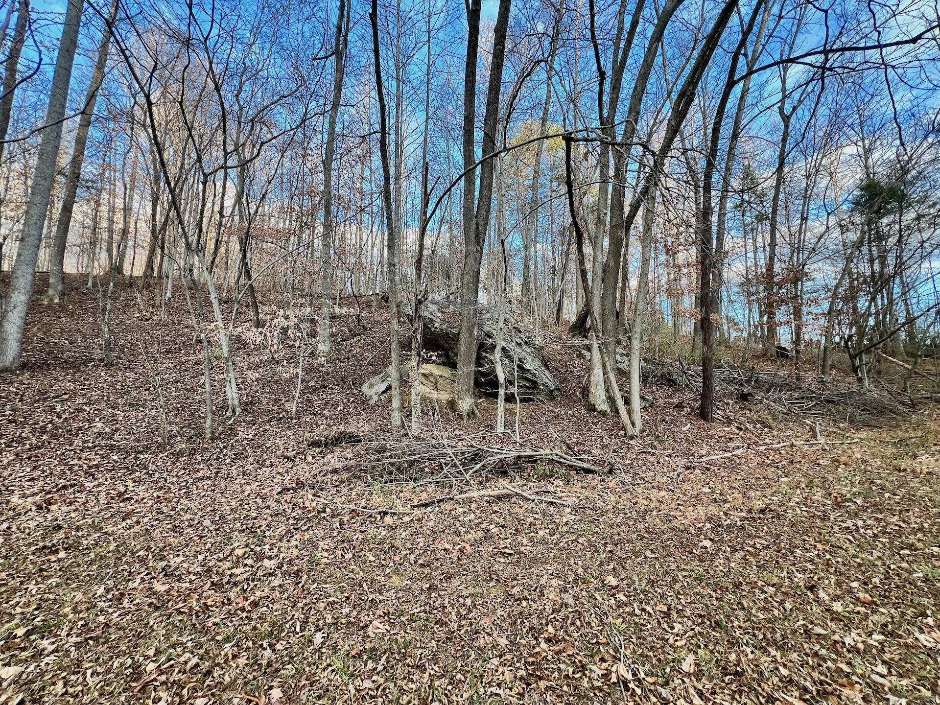 2743 Johnson School Road Thaxton, VA 24174 - Photo 58 of 88 154.56 Bedford pics - 56