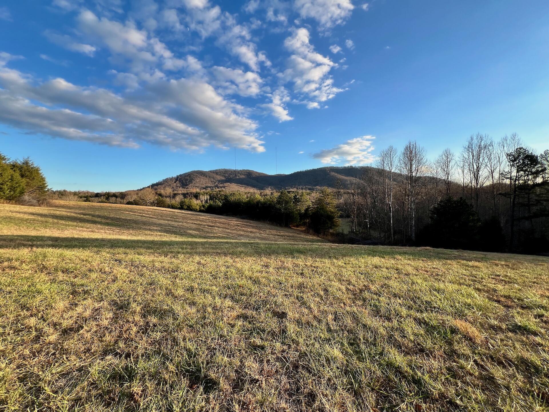 2743 Johnson School Road Thaxton, VA 24174 - Photo 59 of 88 154.56 Bedford pics - 59