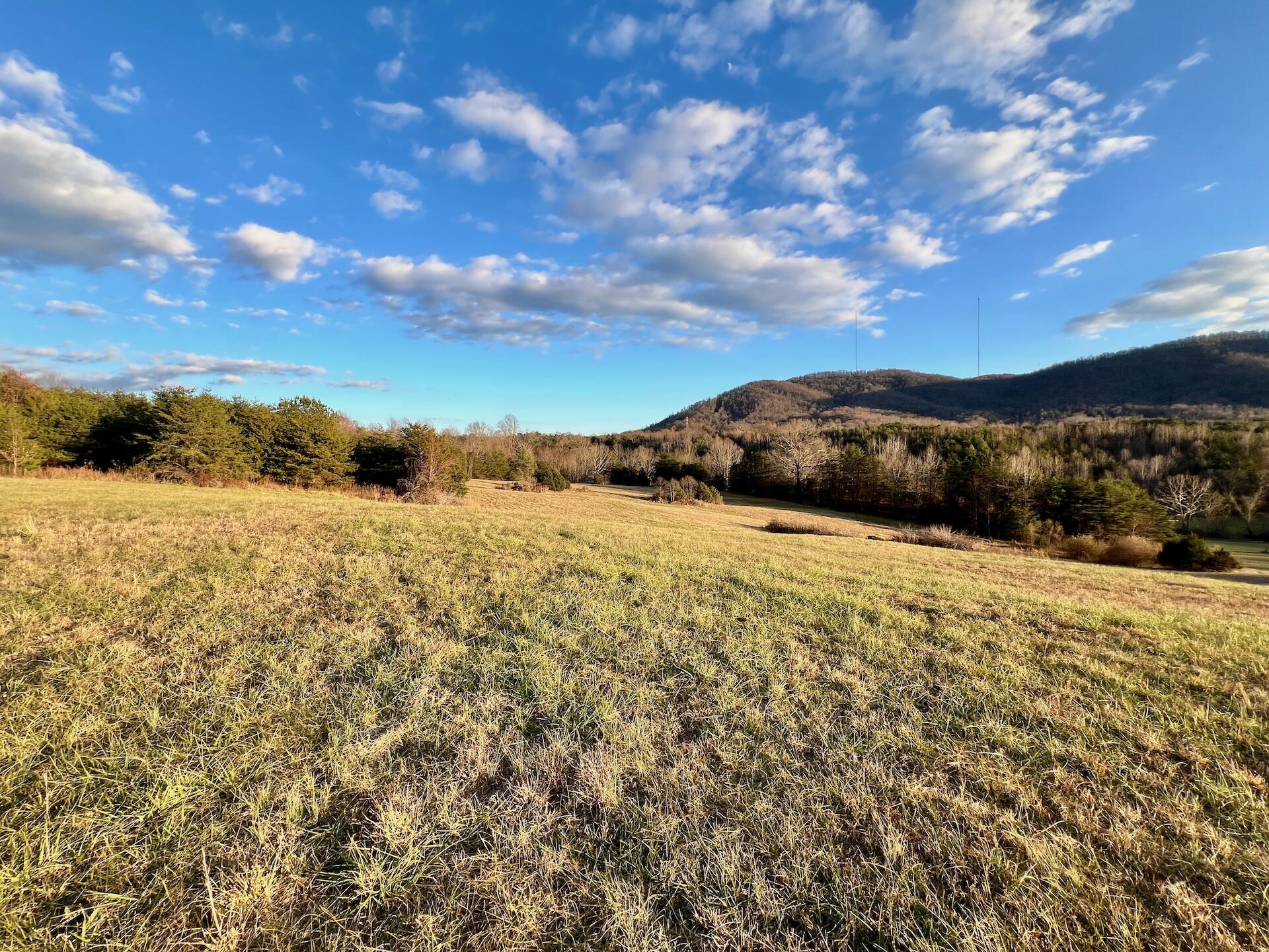 2743 Johnson School Road Thaxton, VA 24174 - Photo 60 of 88 154.56 Bedford pics - 60