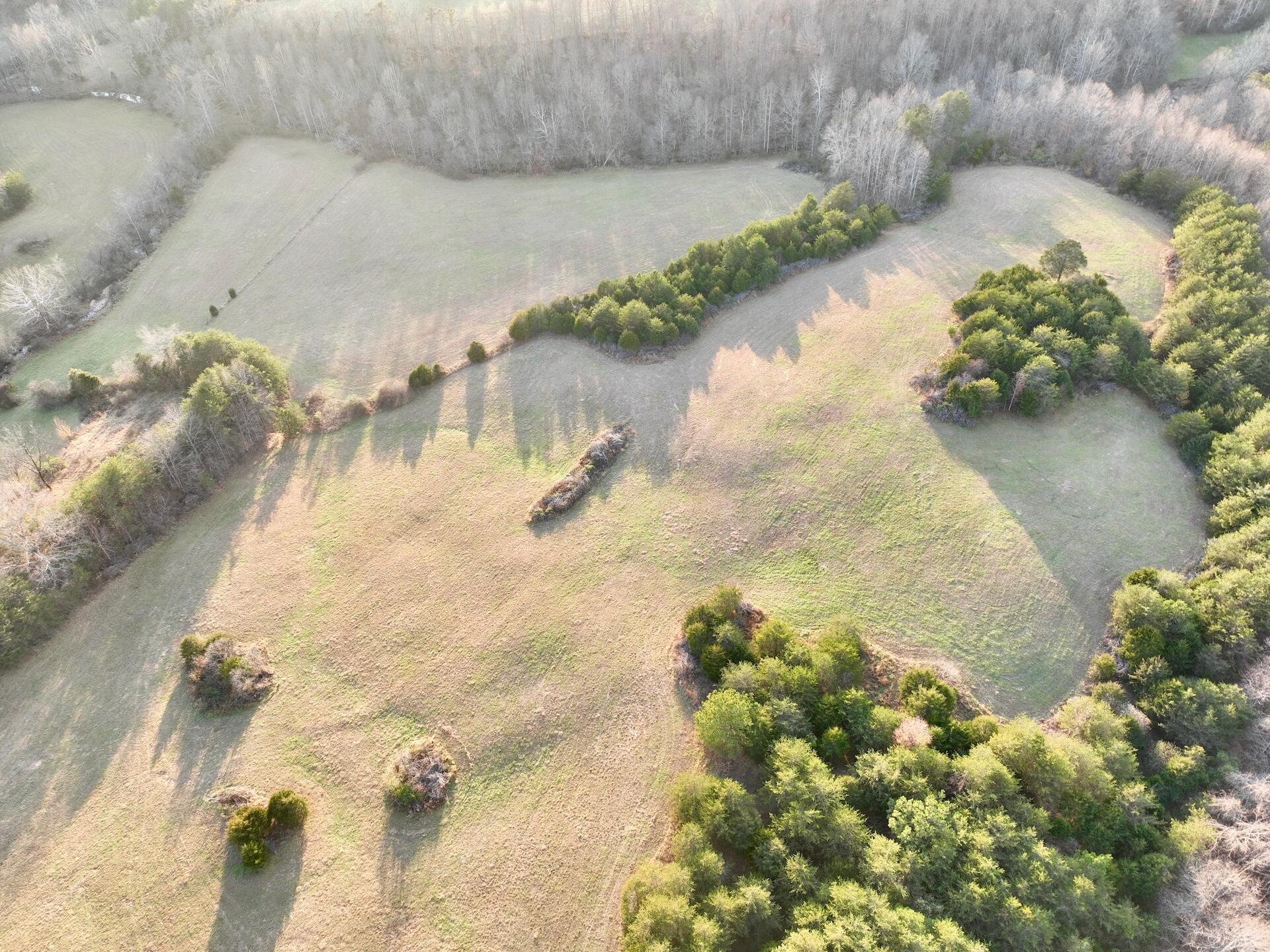 2743 Johnson School Road Thaxton, VA 24174 - Photo 61 of 88 154.56 Bedford pics - 62