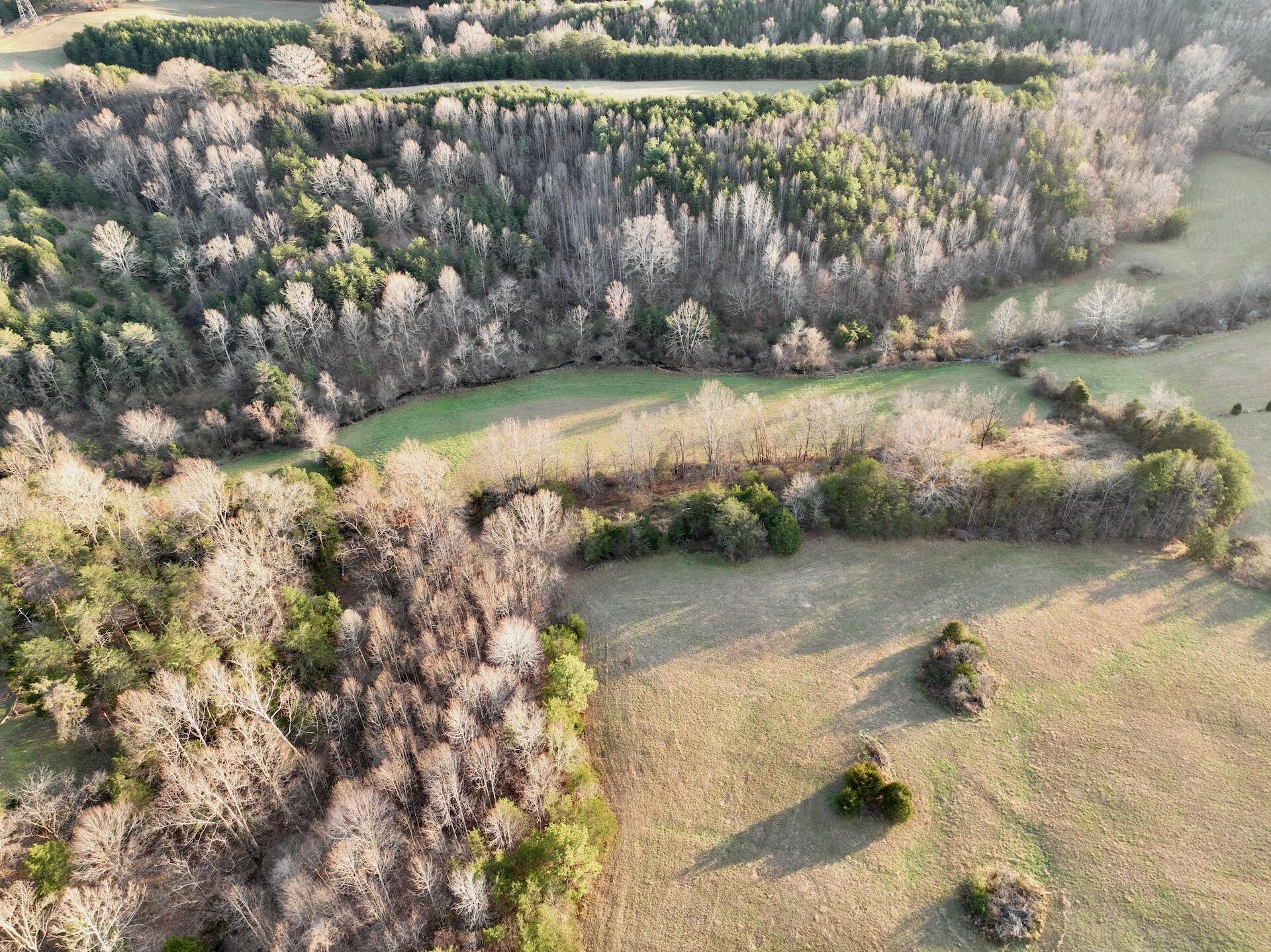 2743 Johnson School Road Thaxton, VA 24174 - Photo 62 of 88 154.56 Bedford pics - 63