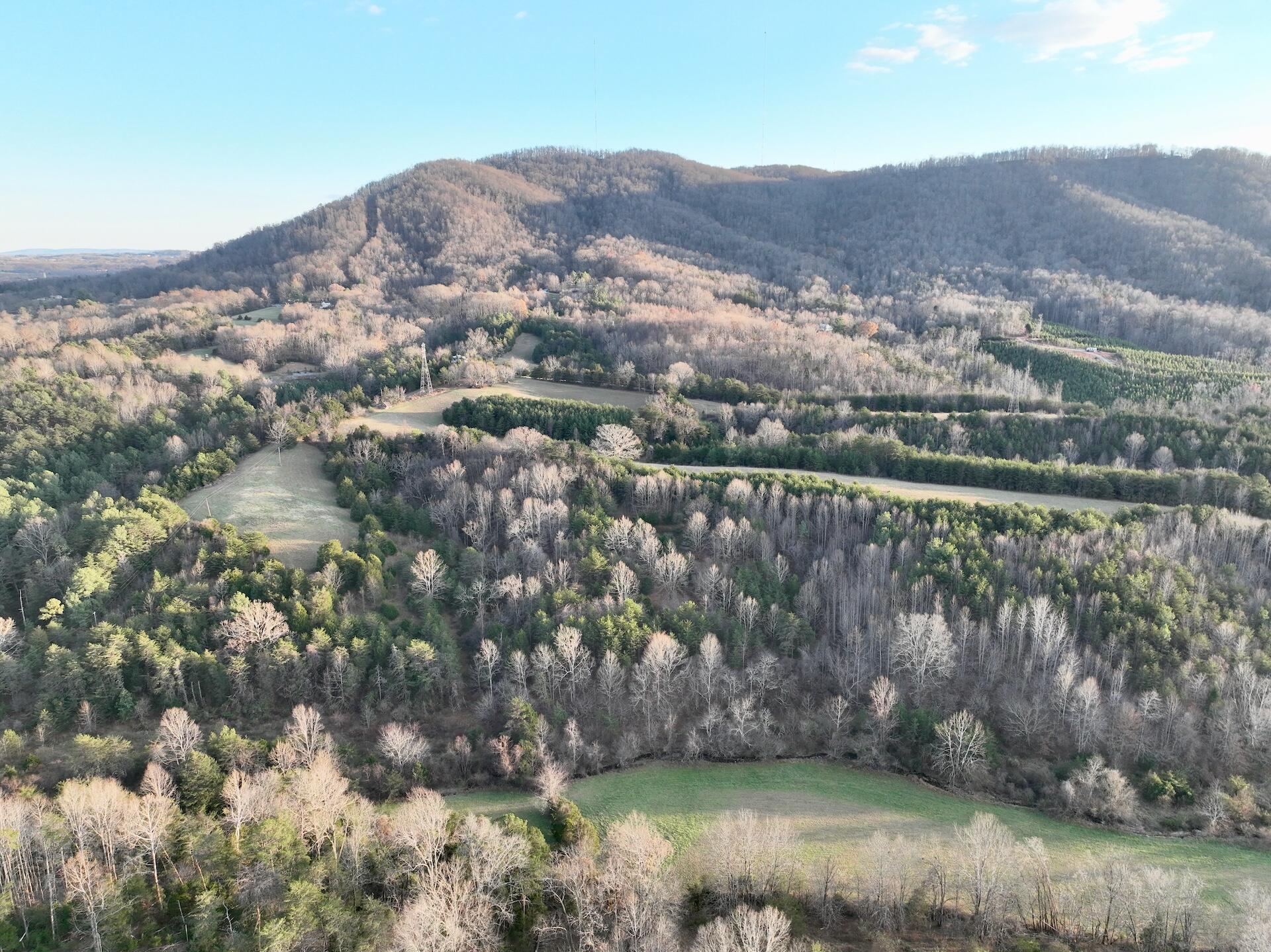 2743 Johnson School Road Thaxton, VA 24174 - Photo 63 of 88 154.56 Bedford pics - 65