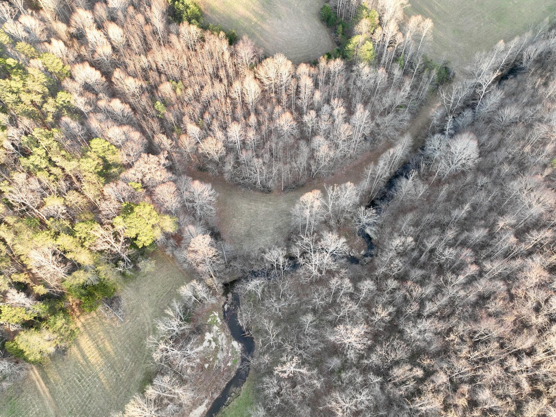 2743 Johnson School Road Thaxton, VA 24174 - Photo 64 of 88 154.56 Bedford pics - 66