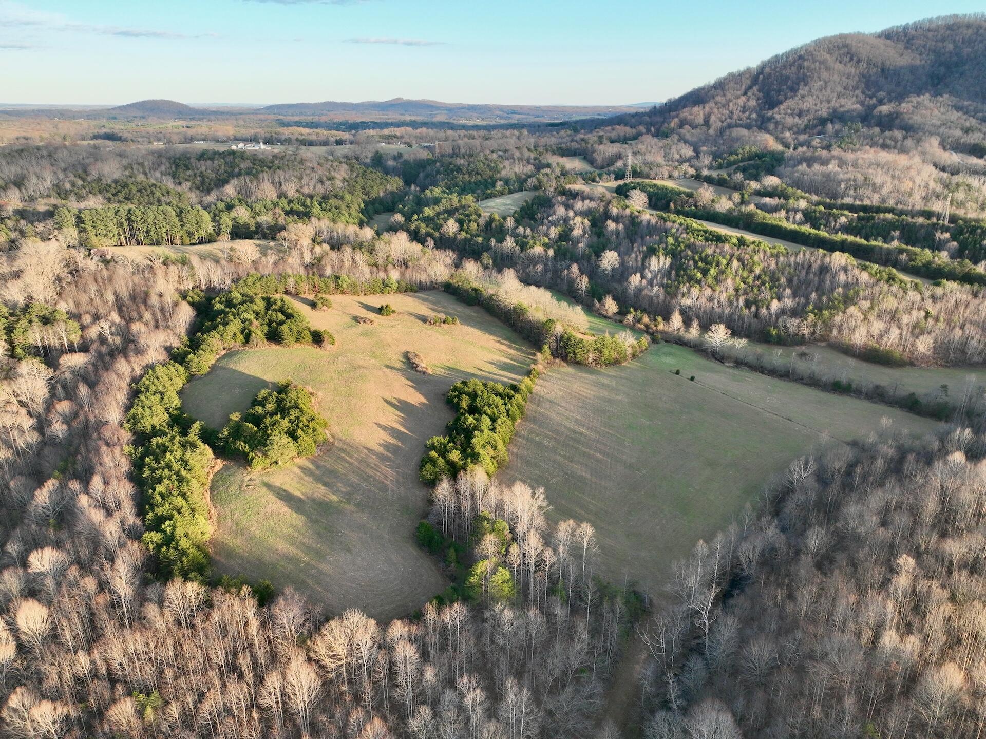 2743 Johnson School Road Thaxton, VA 24174 - Photo 65 of 88 154.56 Bedford pics - 67