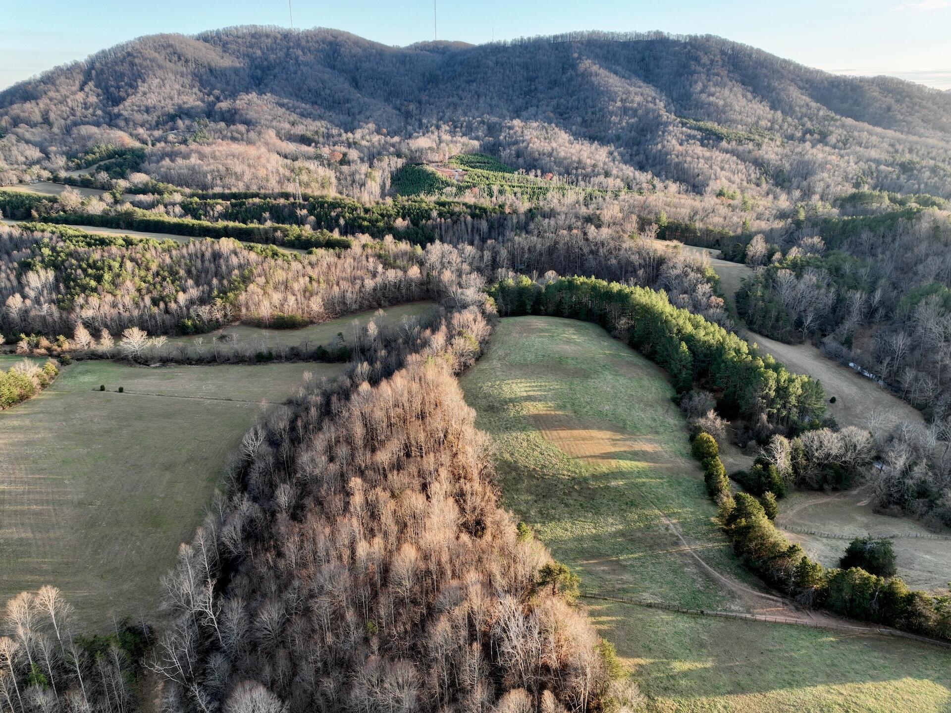 2743 Johnson School Road Thaxton, VA 24174 - Photo 66 of 88 154.56 Bedford pics - 68