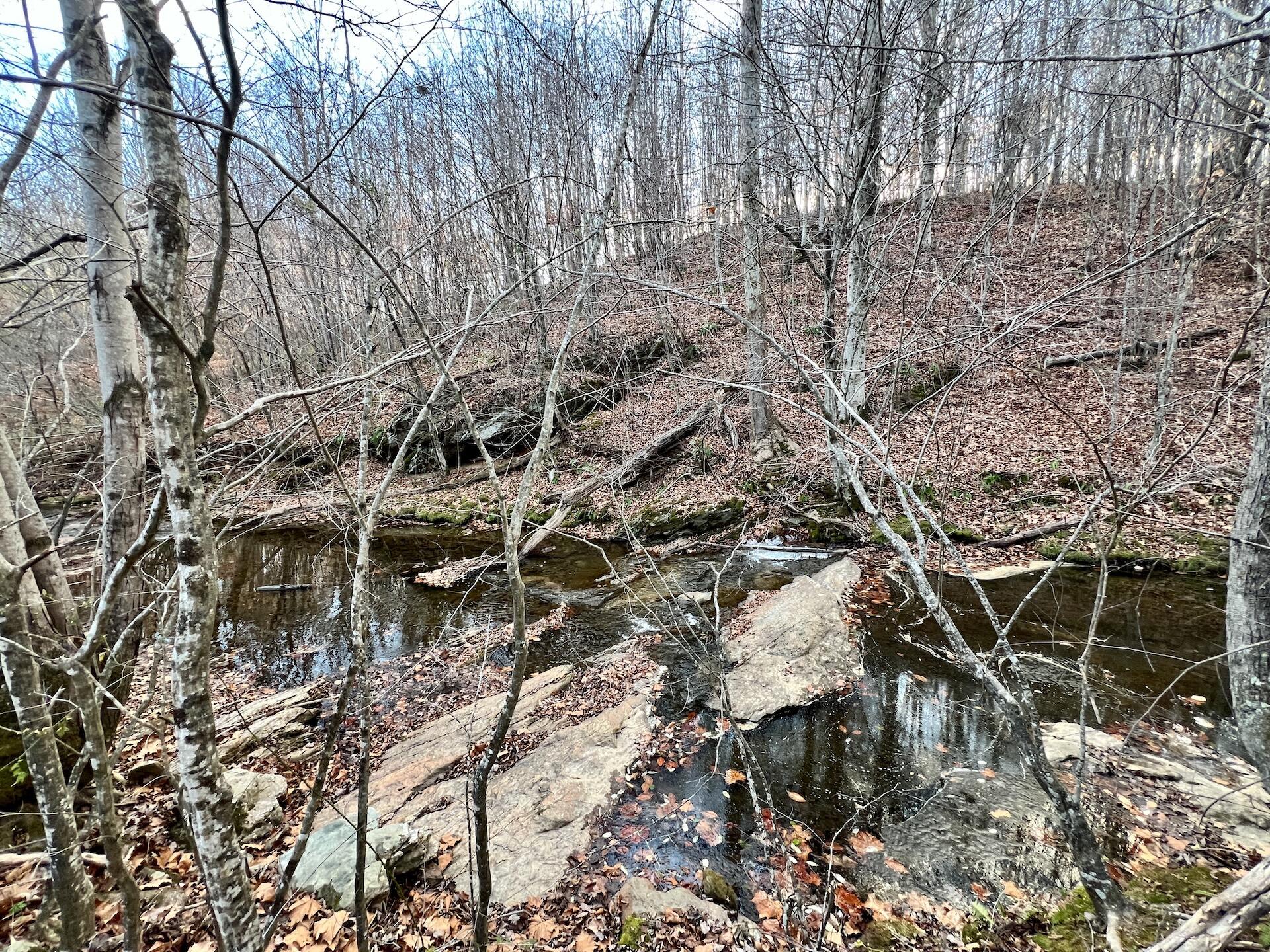 2743 Johnson School Road Thaxton, VA 24174 - Photo 7 of 88 7