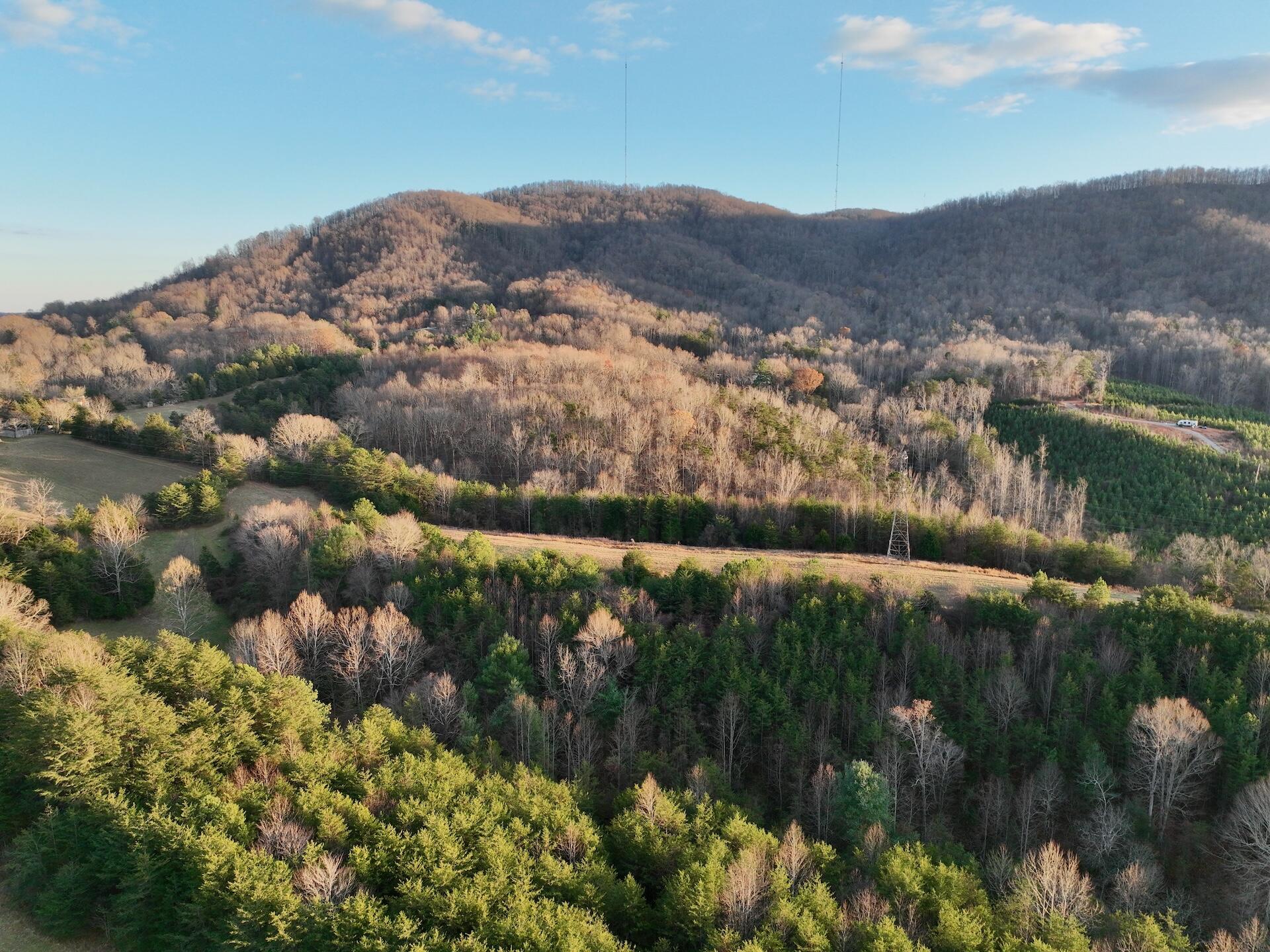 2743 Johnson School Road Thaxton, VA 24174 - Photo 75 of 88 154.56 Bedford pics - 80