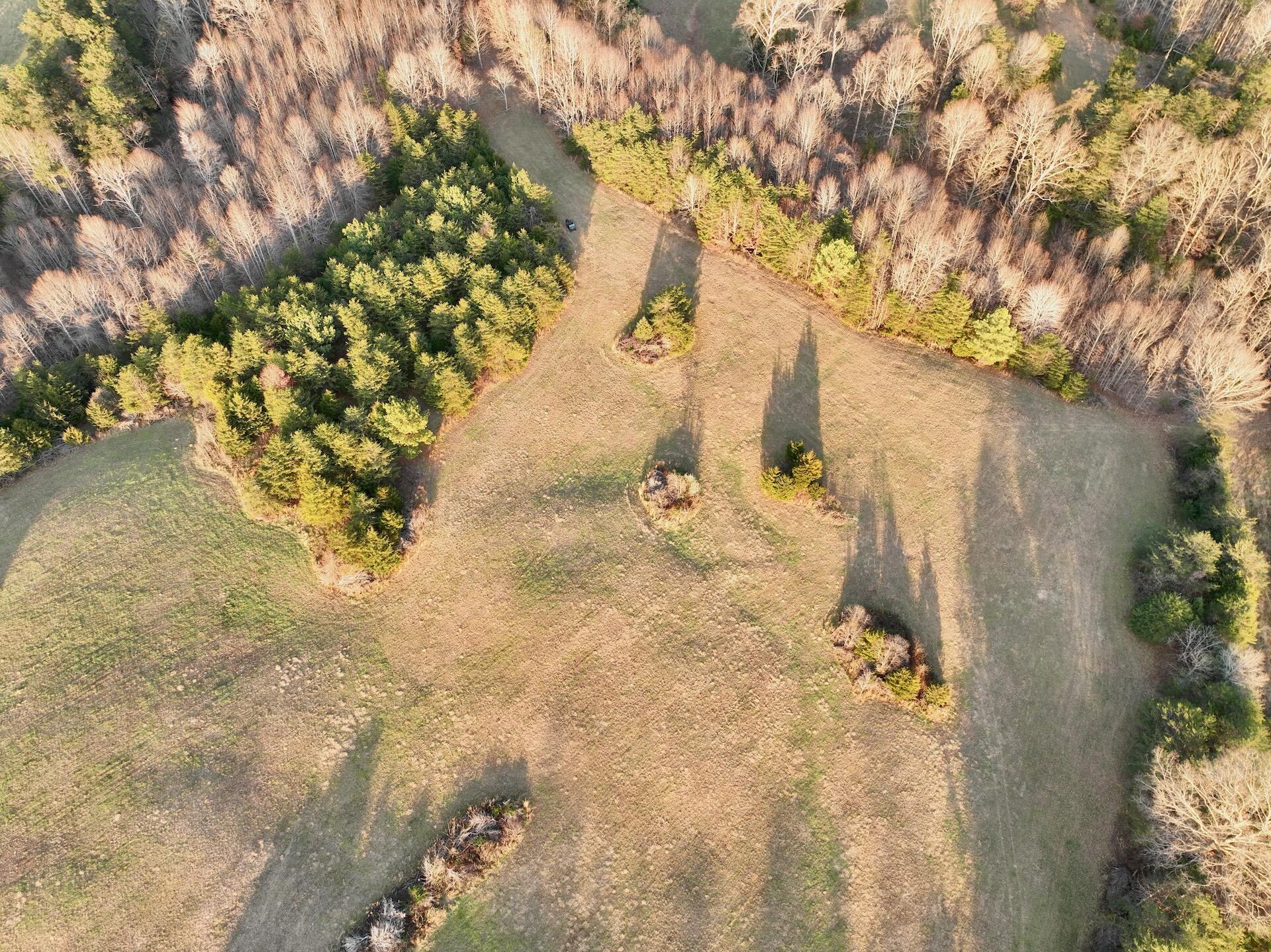 2743 Johnson School Road Thaxton, VA 24174 - Photo 76 of 88 154.56 Bedford pics - 83