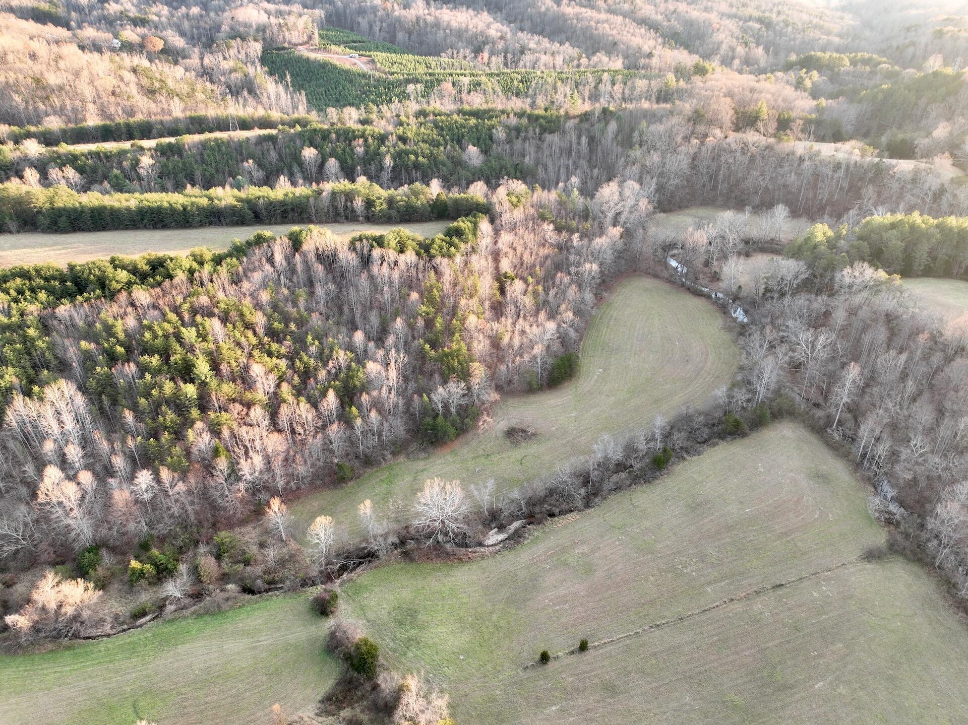 2743 Johnson School Road Thaxton, VA 24174 - Photo 77 of 88 154.56 Bedford pics - 85