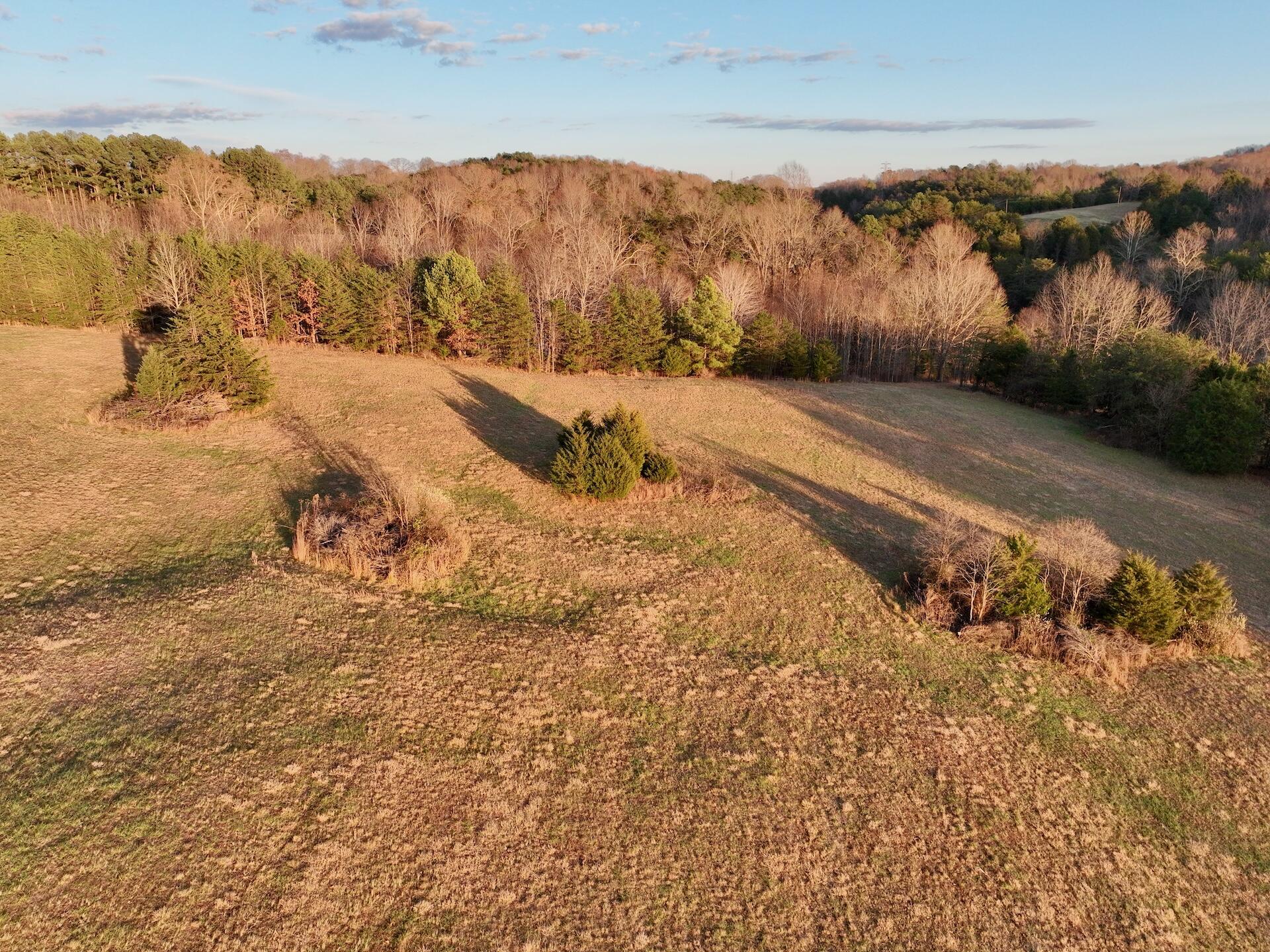 2743 Johnson School Road Thaxton, VA 24174 - Photo 78 of 88 154.56 Bedford pics - 89