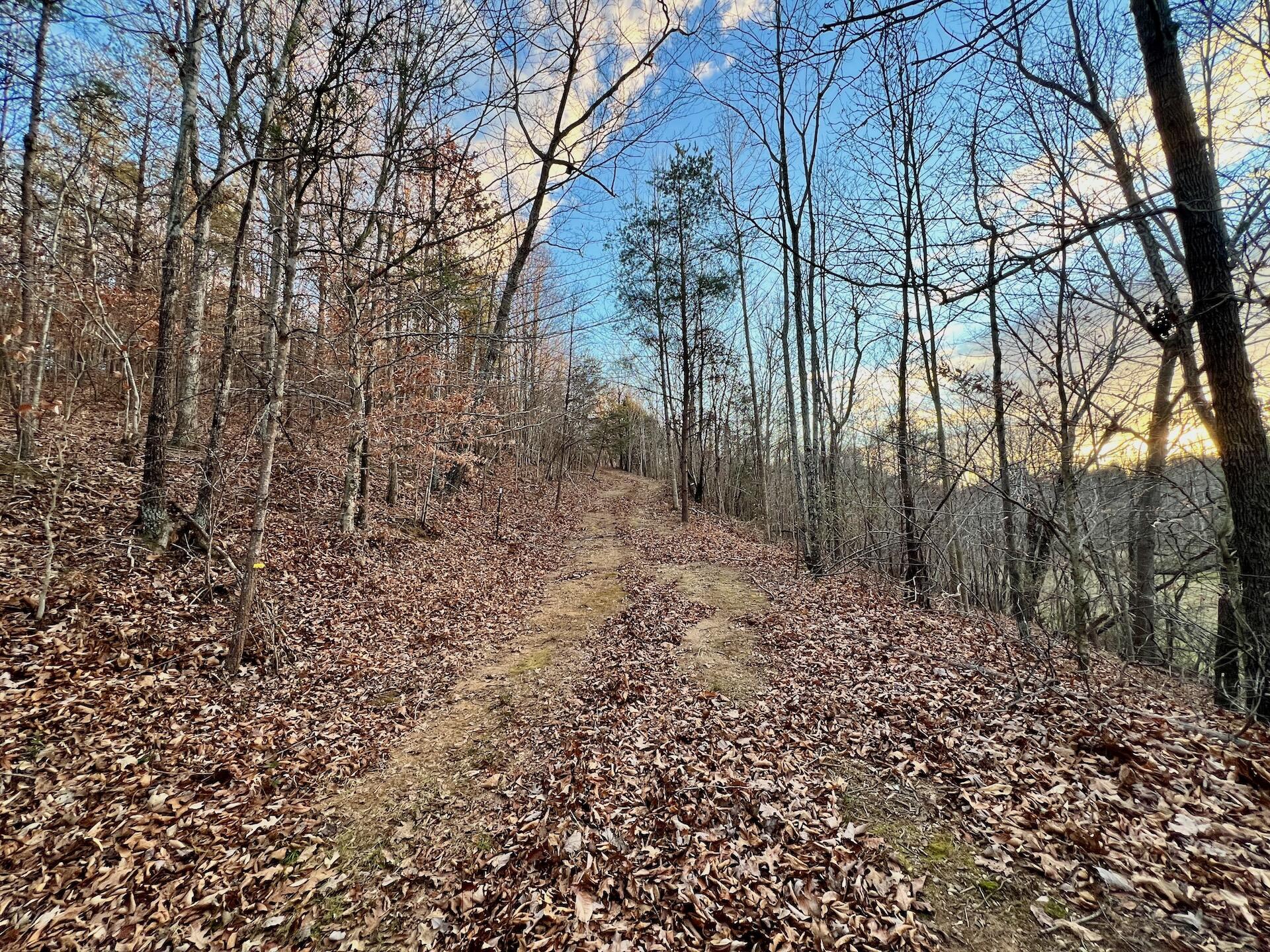 2743 Johnson School Road Thaxton, VA 24174 - Photo 80 of 88 154.56 Bedford pics - 93