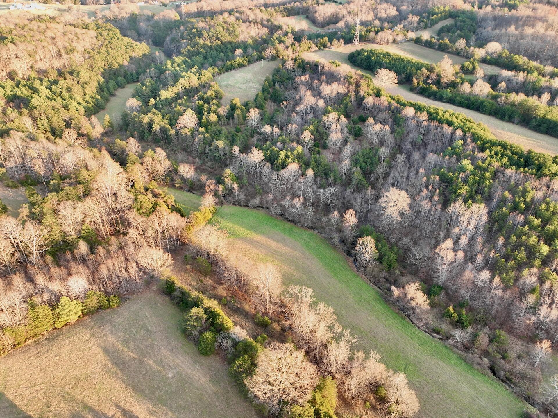 2743 Johnson School Road Thaxton, VA 24174 - Photo 8 of 88 8