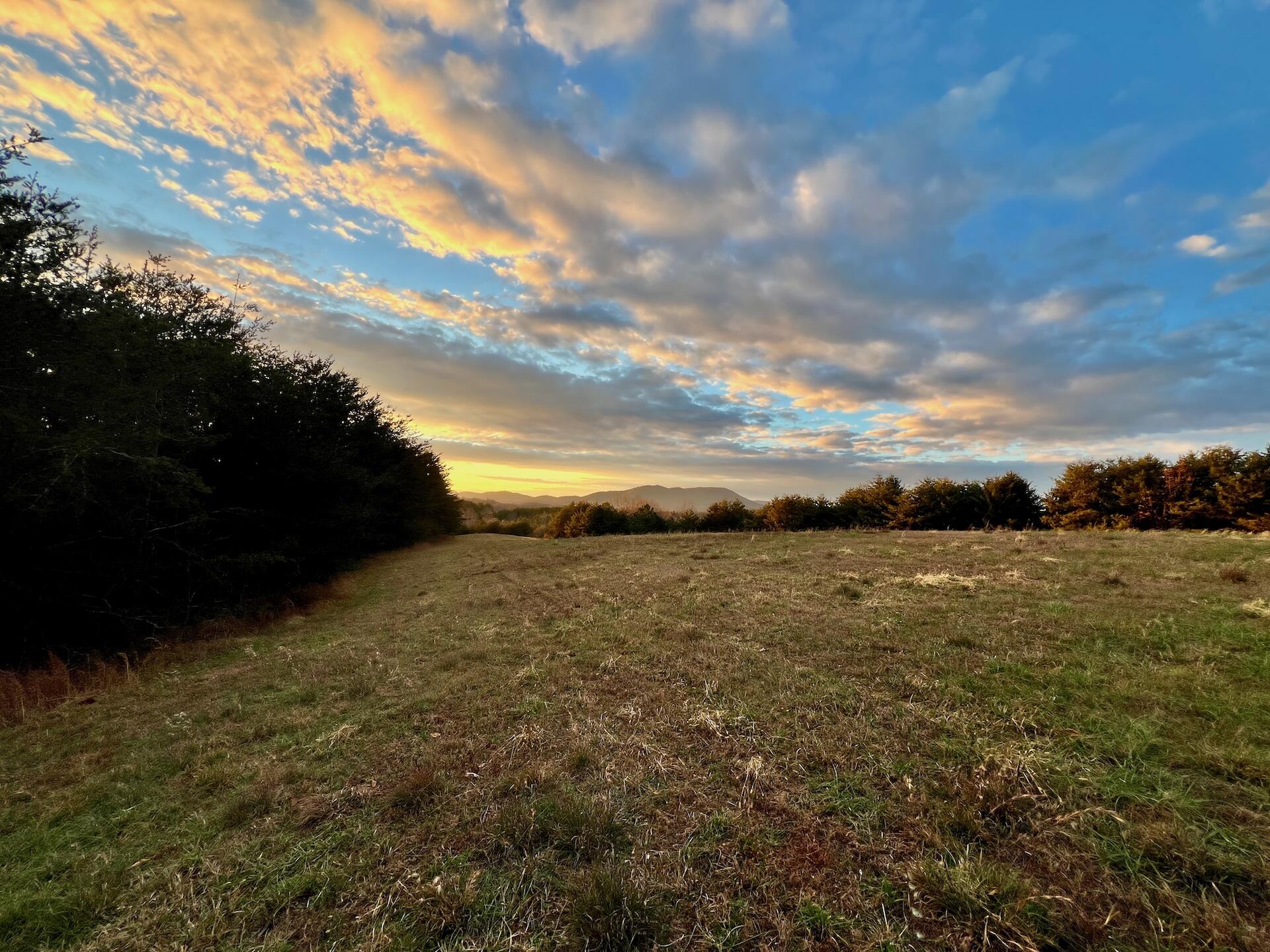 2743 Johnson School Road Thaxton, VA 24174 - Photo 81 of 88 154.56 Bedford pics - 95