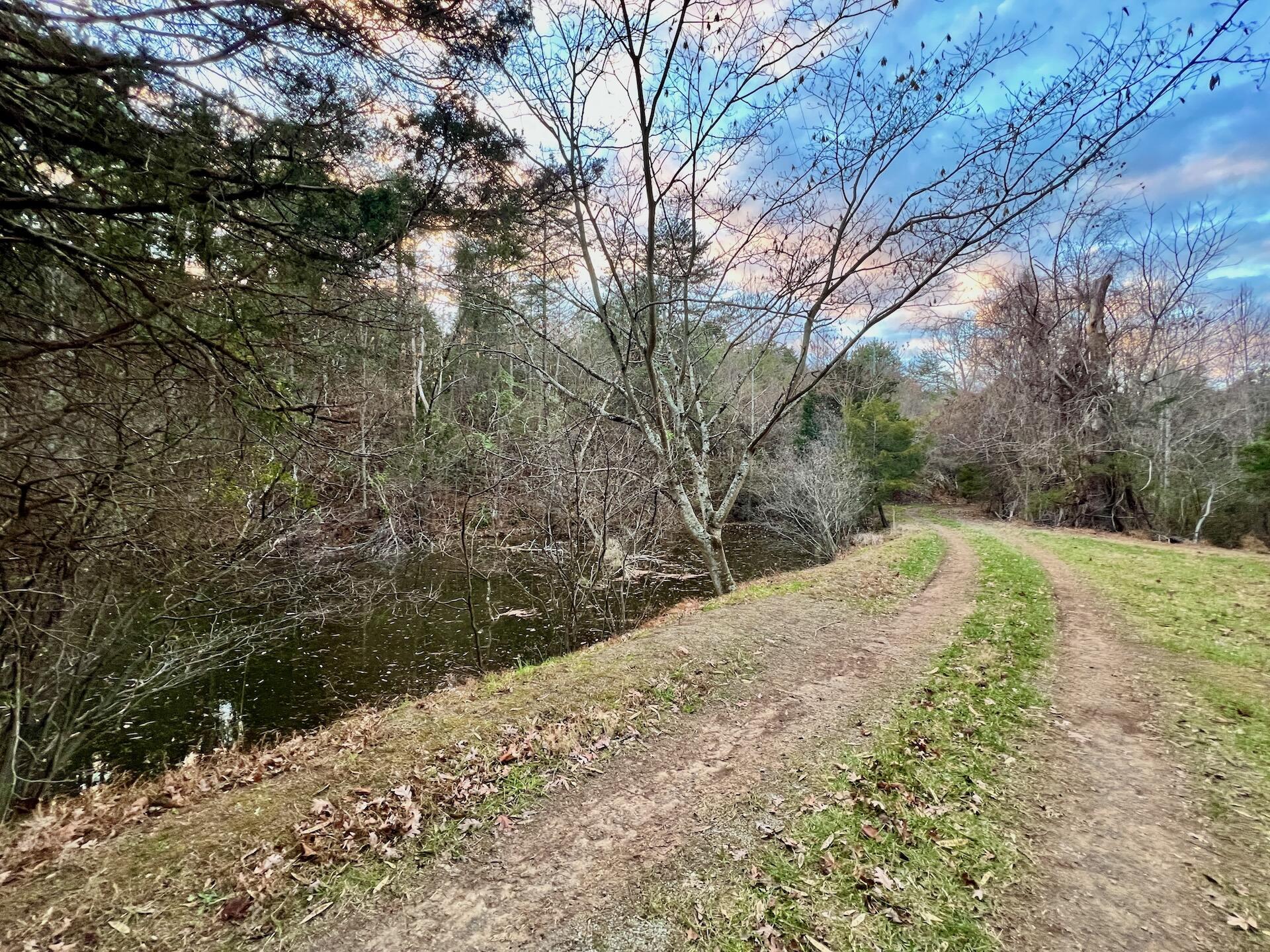 2743 Johnson School Road Thaxton, VA 24174 - Photo 84 of 88 154.56 Bedford pics - 101