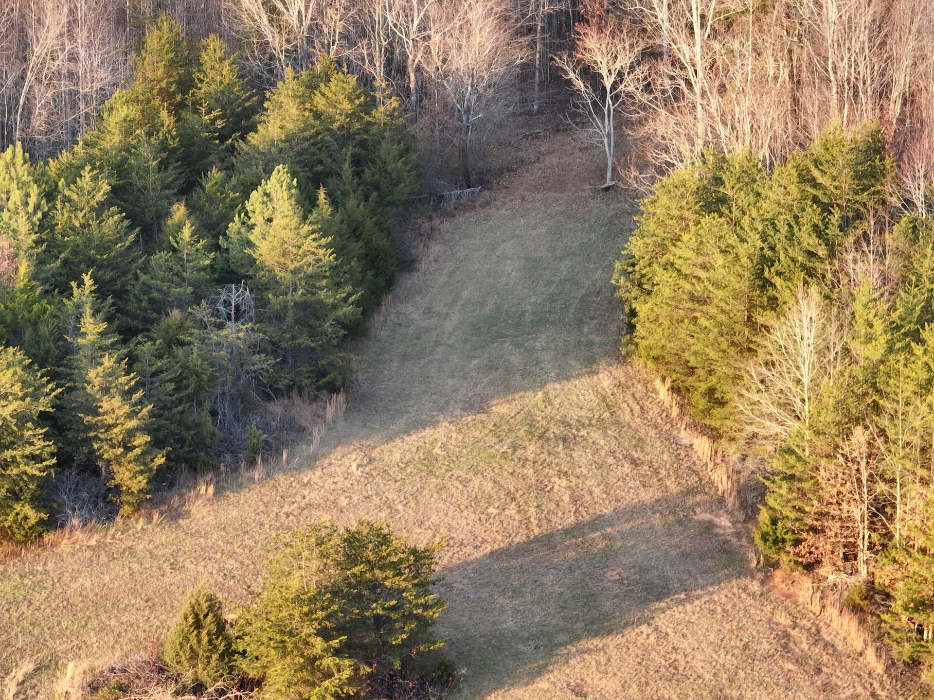 2743 Johnson School Road Thaxton, VA 24174 - Photo 88 of 88 b - 1