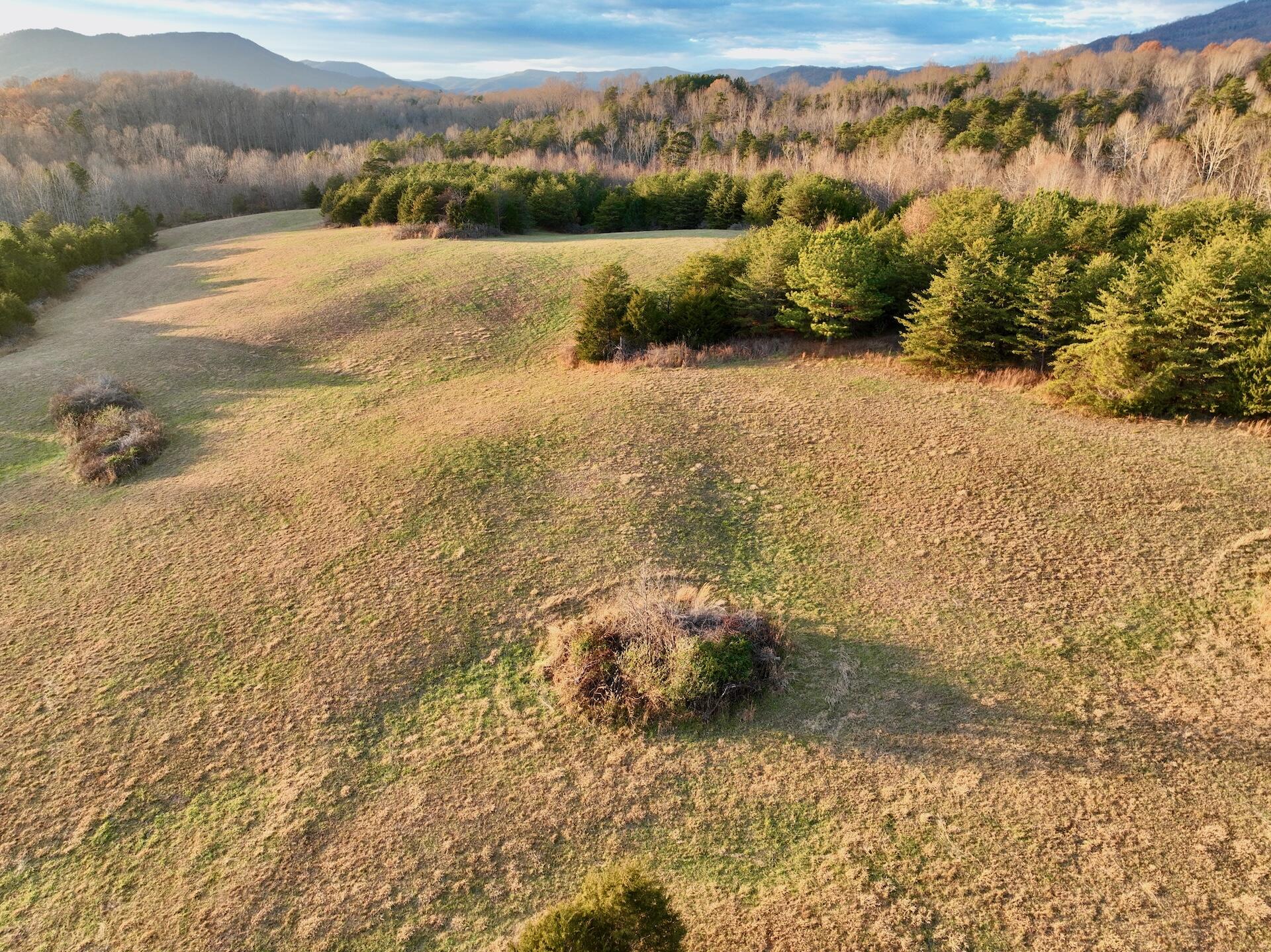 2743 Johnson School Road Thaxton, VA 24174 - Photo 10 of 88 10