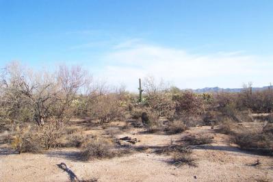 3425 West Lobo Road Tucson, AZ 85742 - Photo 3 of 4