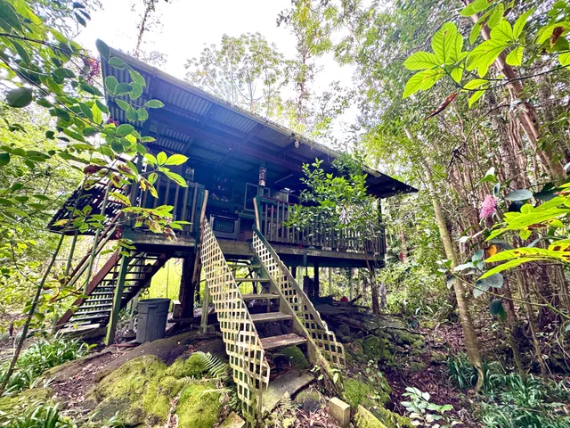 a backyard of a building