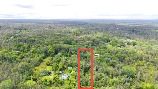 a view of small yard