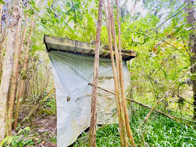 $189,500 | 16-1630 Pulelehua Road, Kurtistown, HI 96760