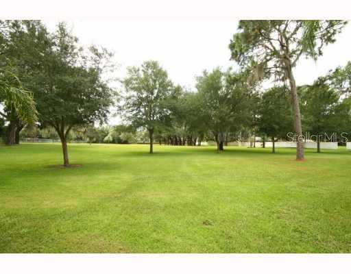 Land/Lot