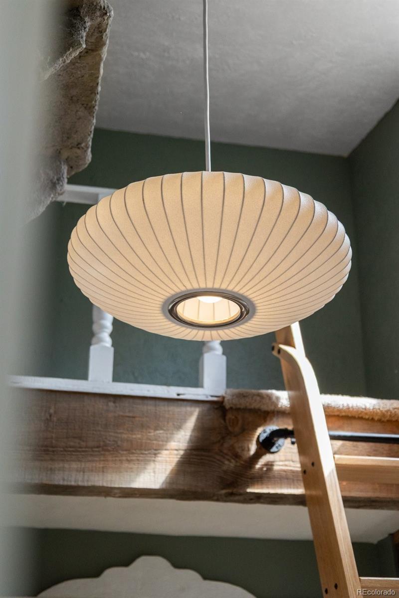 21 Gauthier Road Bailey, CO 80421 - Photo 19 of 37