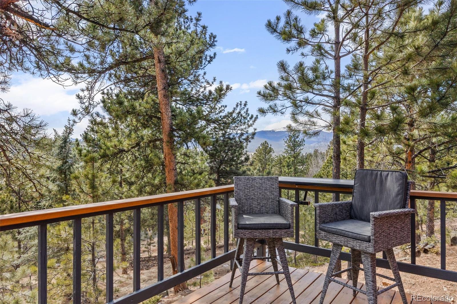 21 Gauthier Road Bailey, CO 80421 - Photo 32 of 37