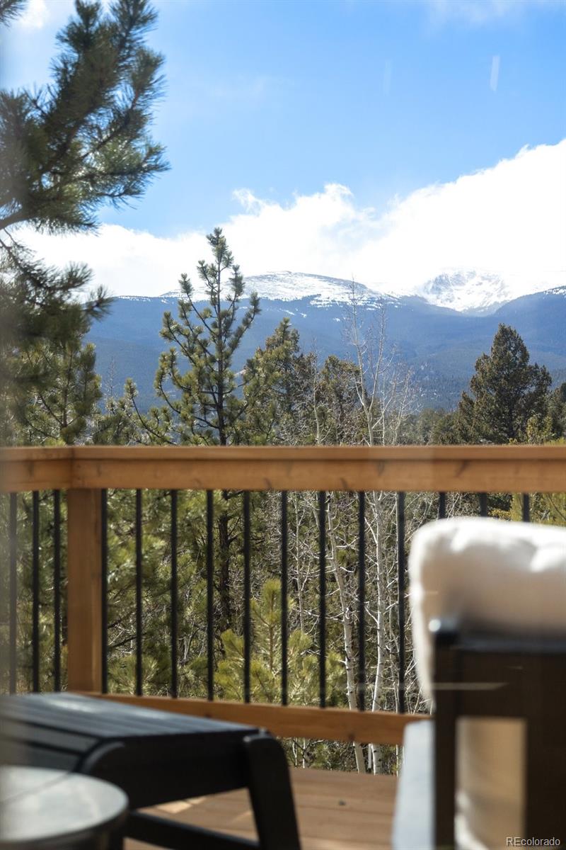 21 Gauthier Road Bailey, CO 80421 - Photo 6 of 37