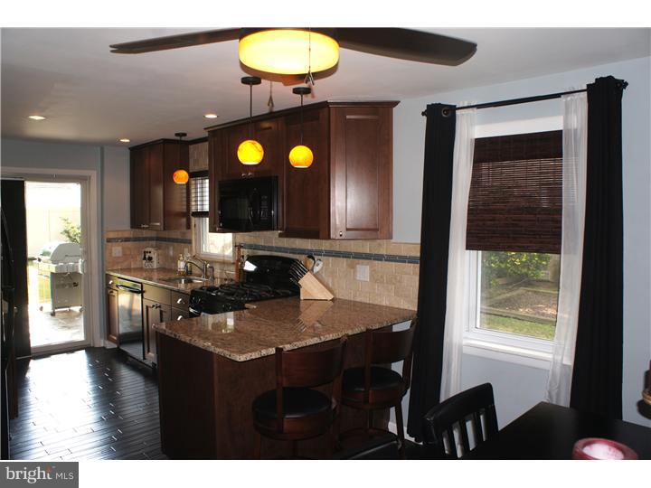869 Quaint Street Secane, PA 19018 - Photo 9 of 21 Kitchen